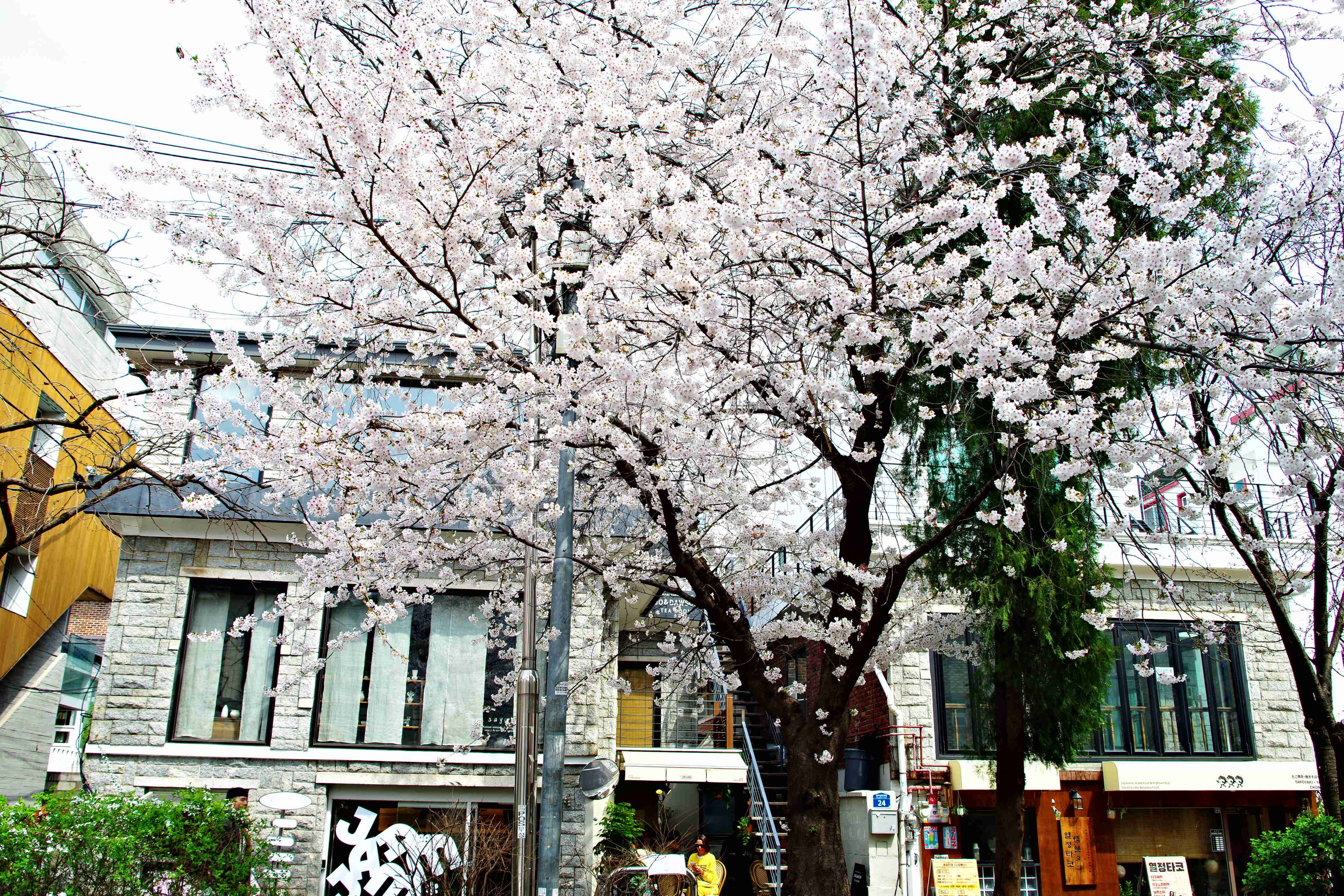 K1__9851.JPG
