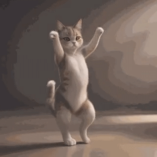 VID_20260413_115608_547(1).gif