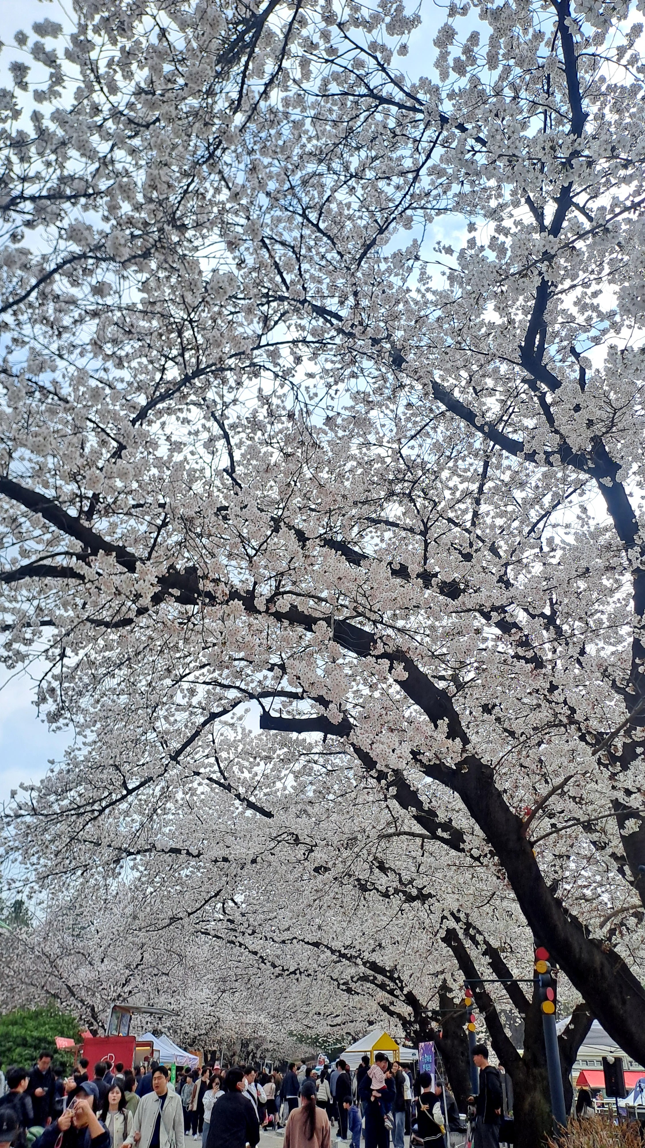 20260404_144521.jpg