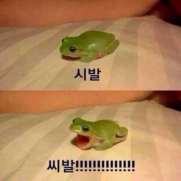시발.jpg