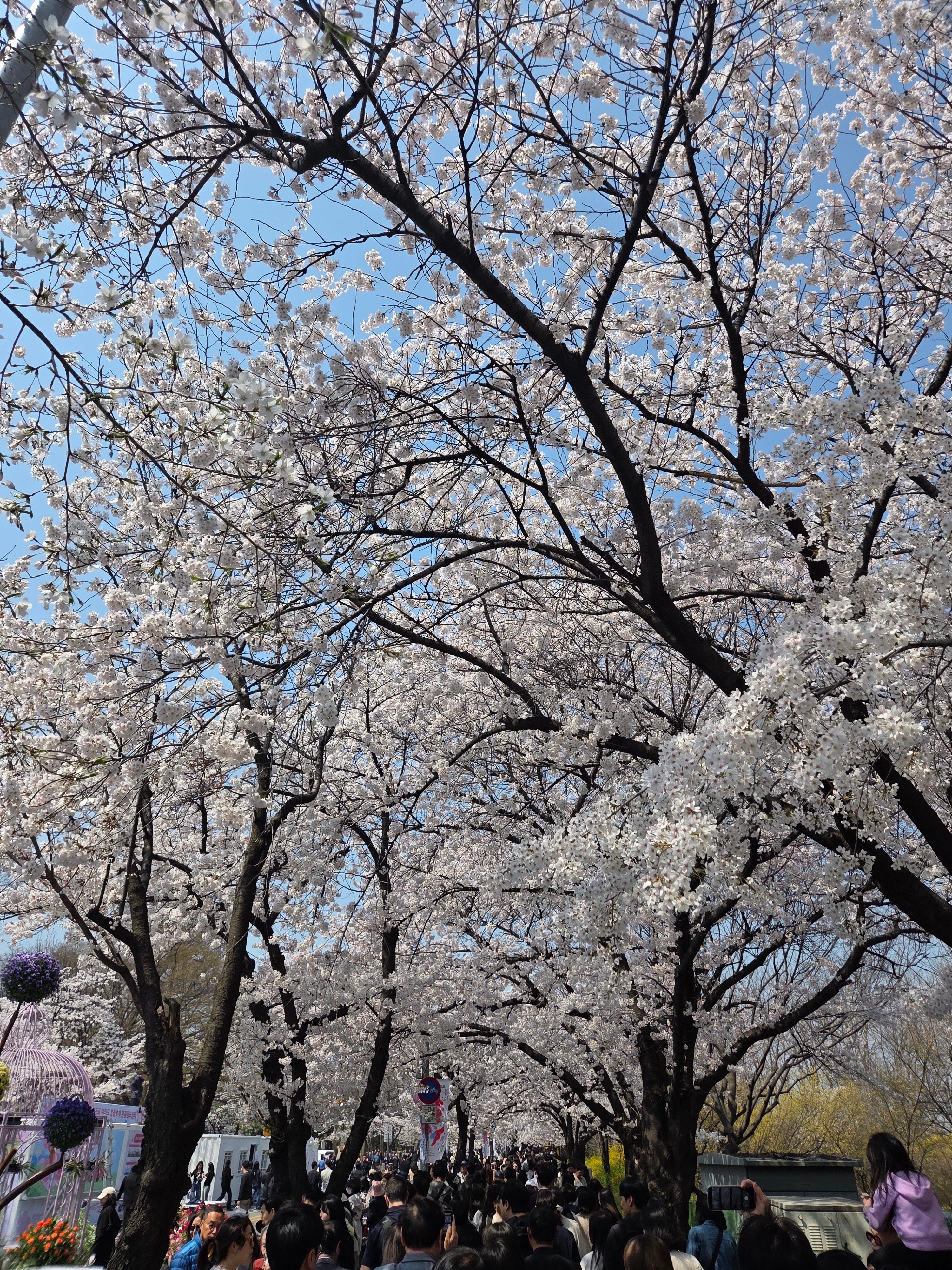 20260402_121157.jpg