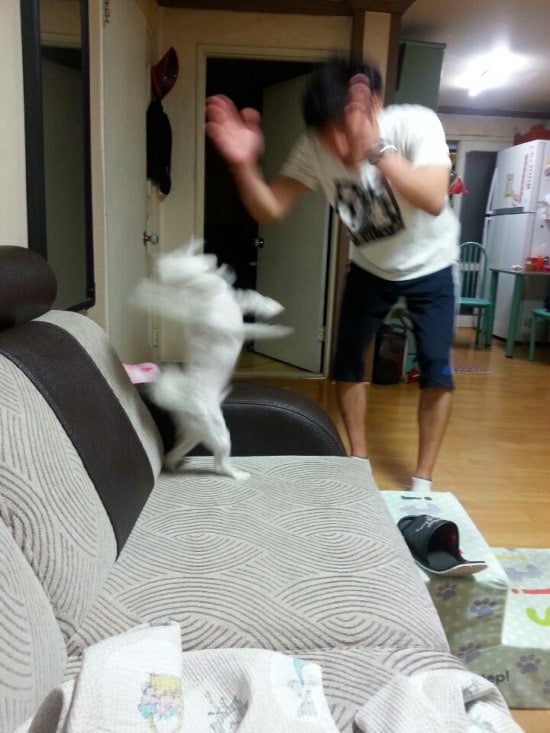 첨부 이미지