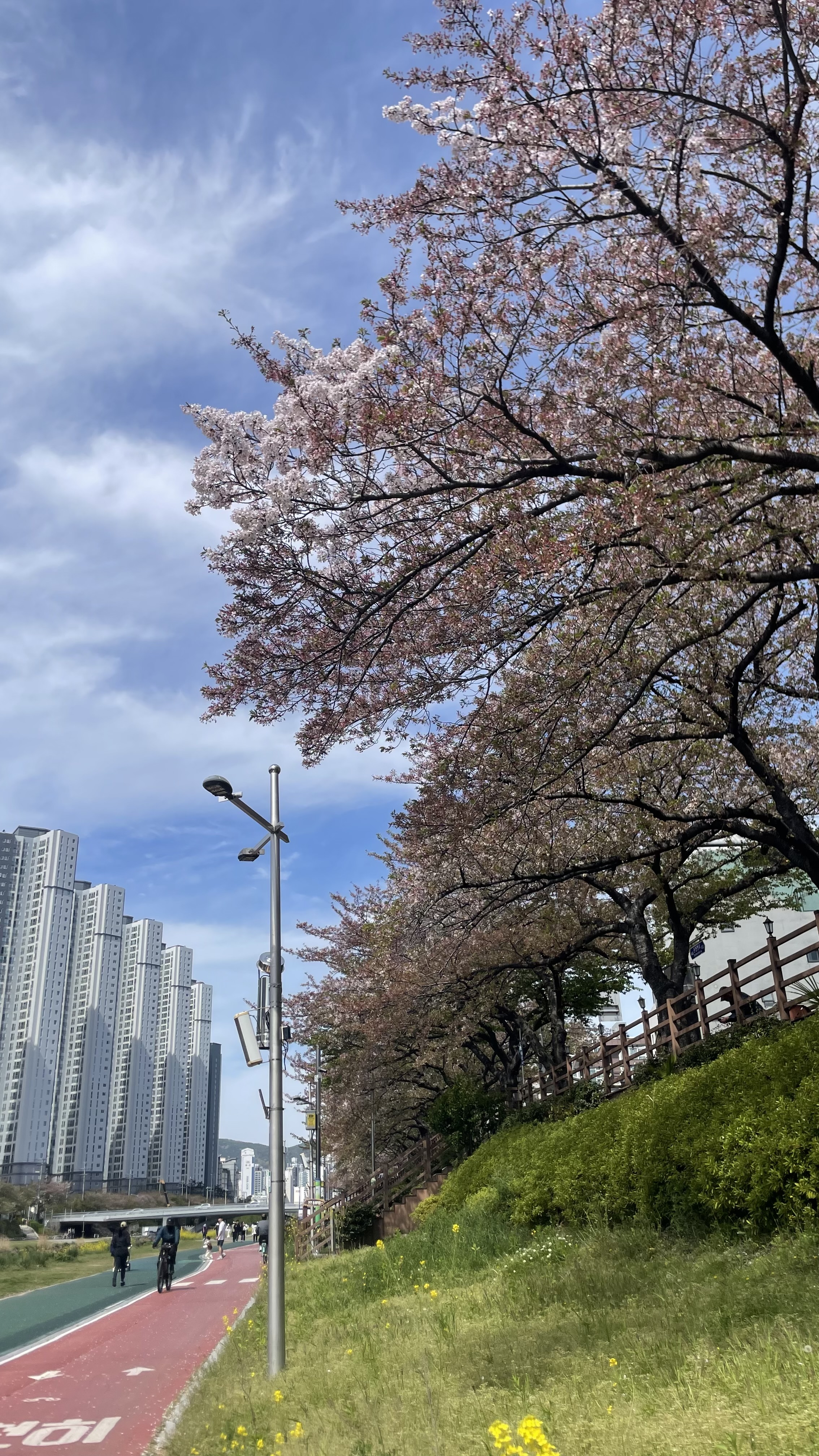 IMG_7452.jpeg