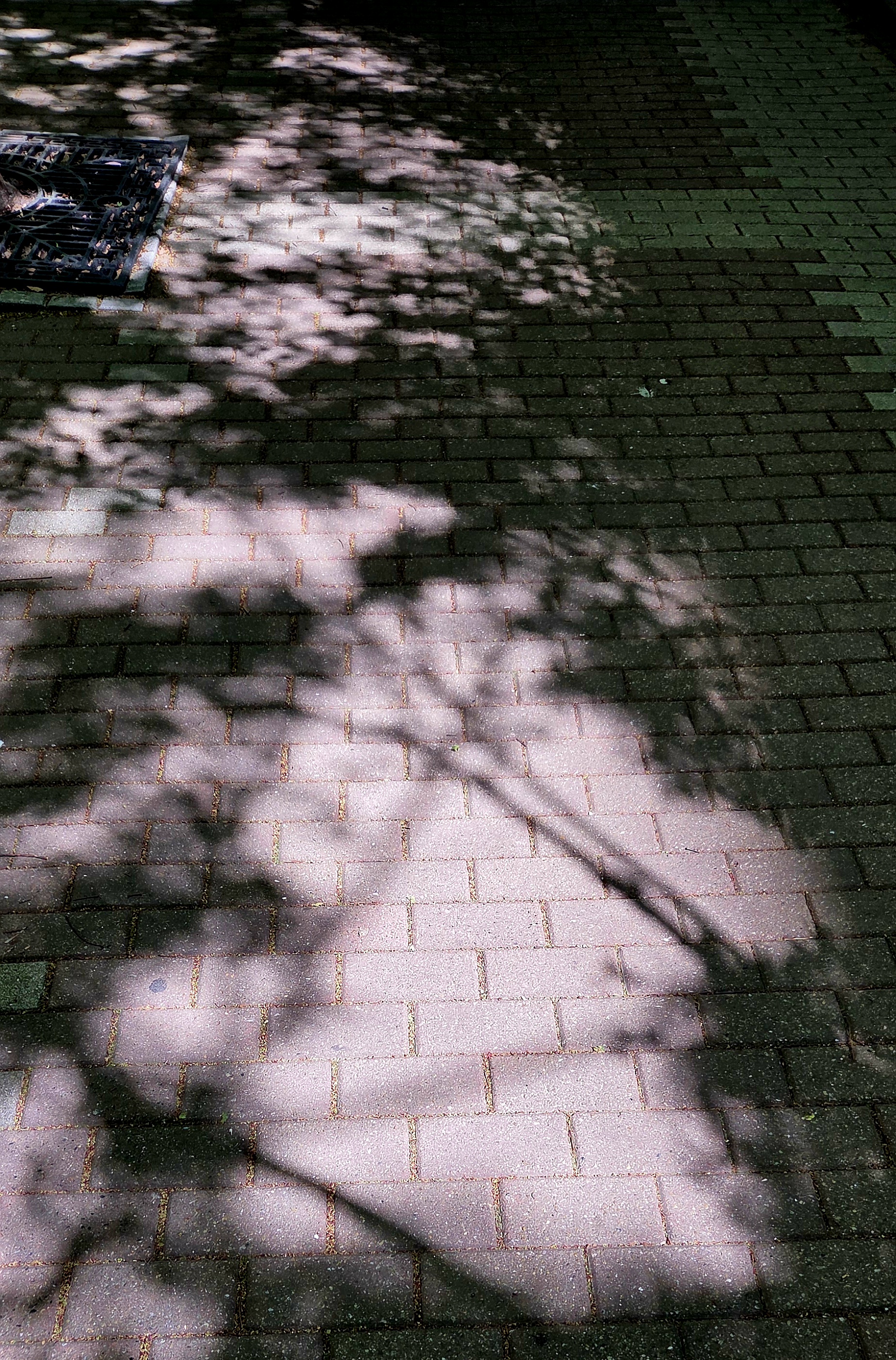 20260426_143626.jpg