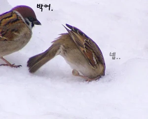 첨부 이미지
