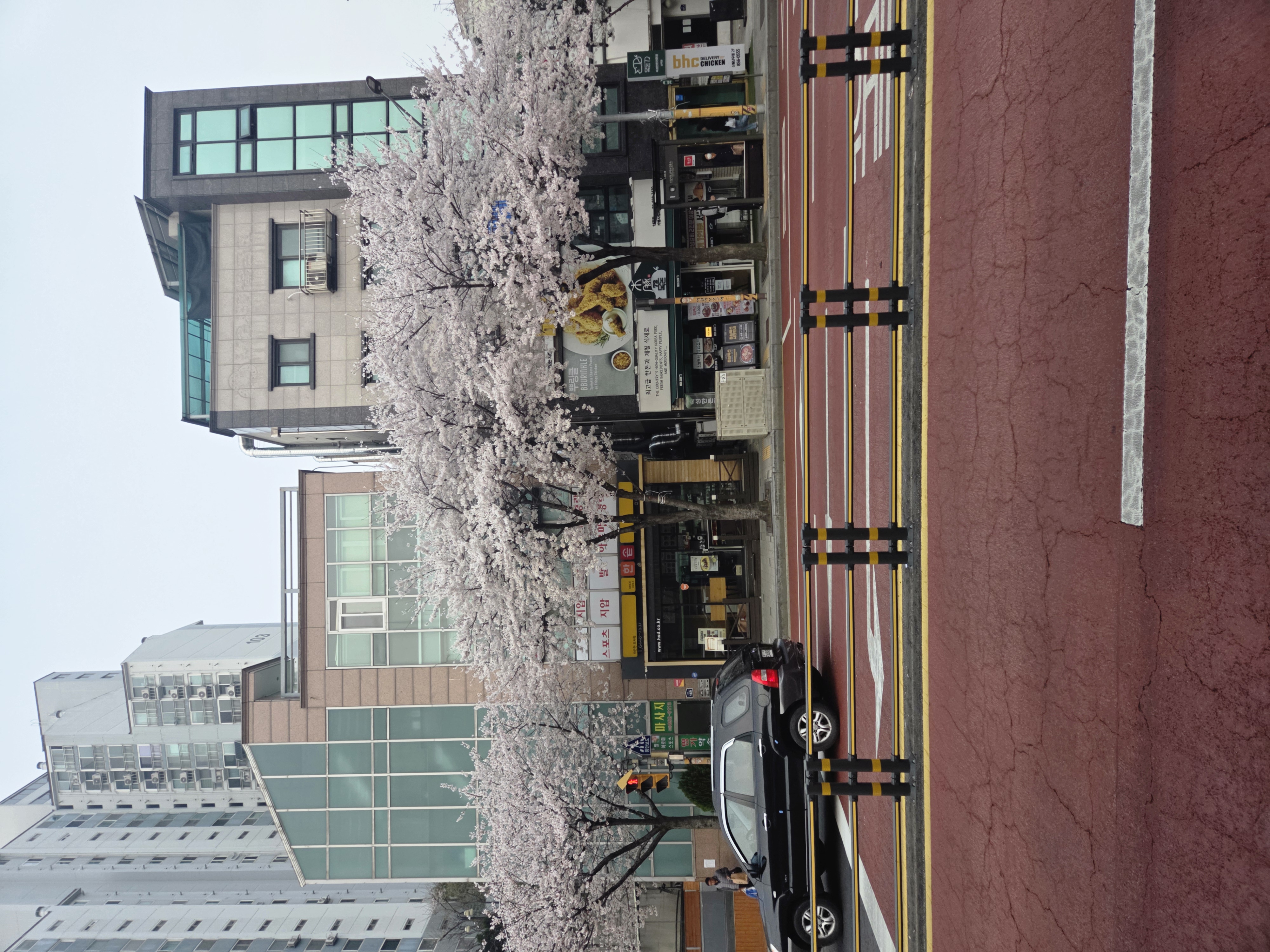 20260403_071514.jpg