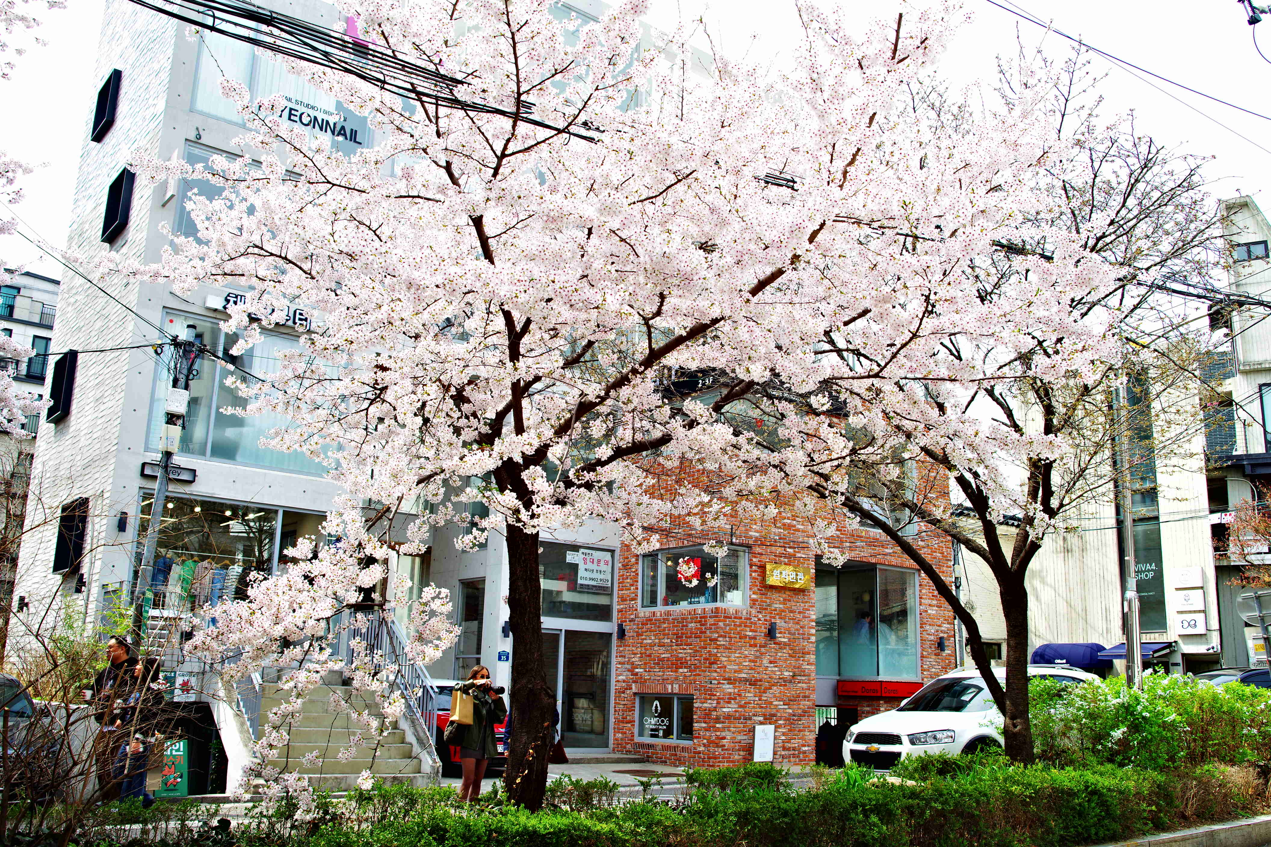 K1__9835.JPG