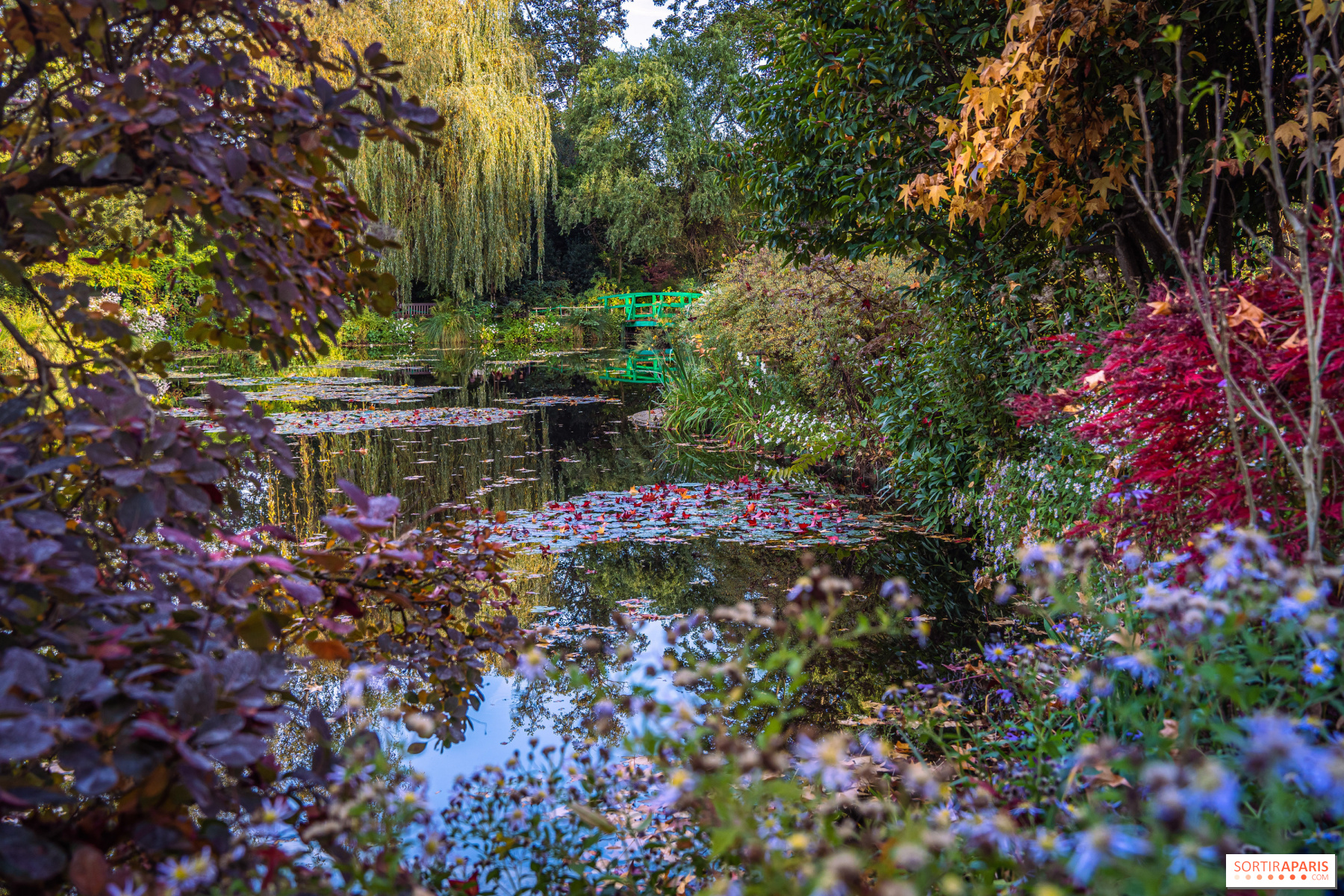 808236-les-jardins-de-la-maison-claude-monet-a-l-automne.jpg
