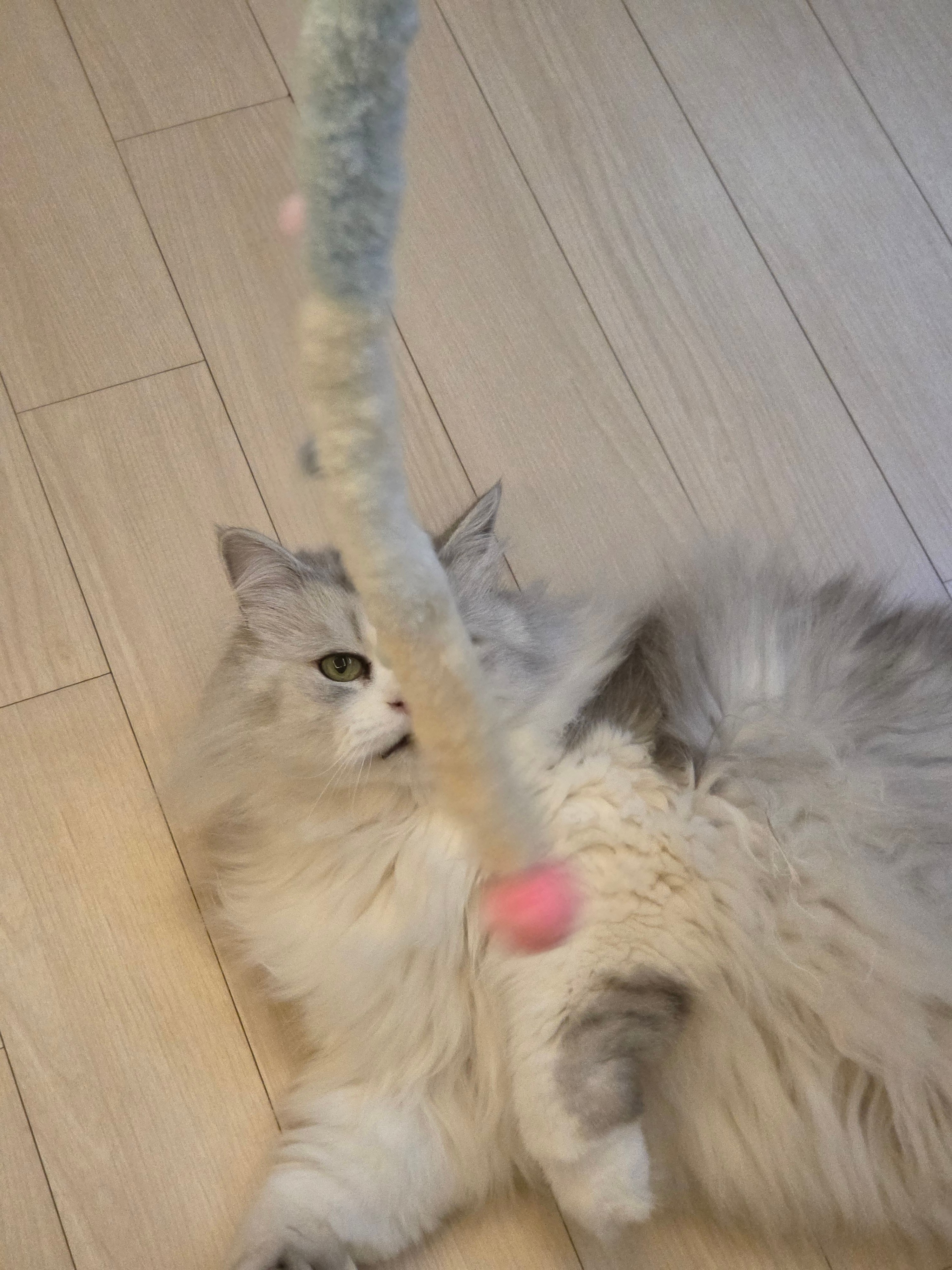 첨부 이미지