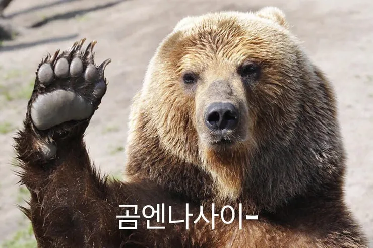 첨부 이미지