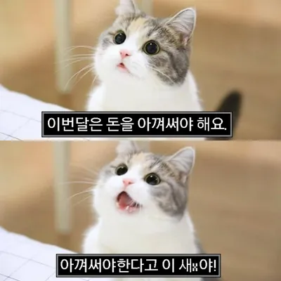 아껴야 해요.webp