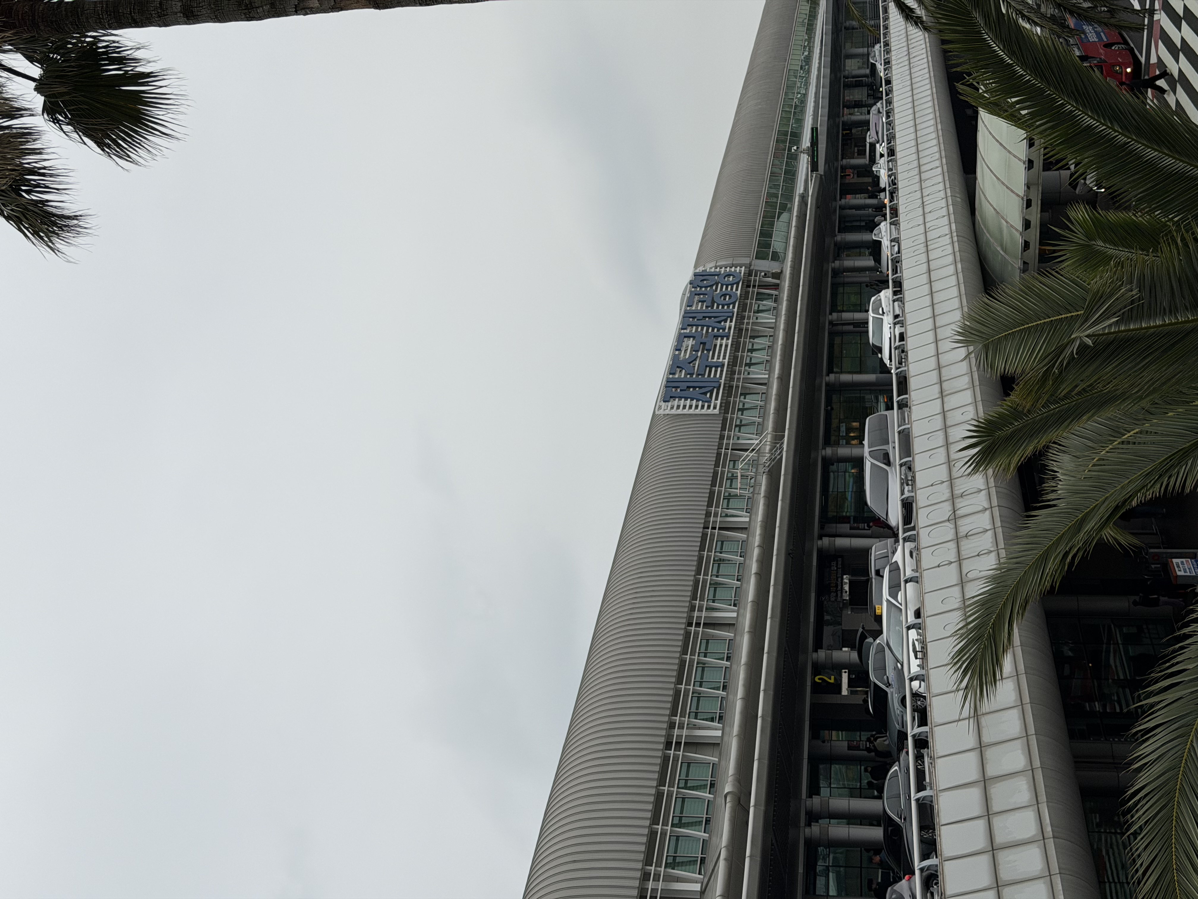 IMG_1158.jpeg