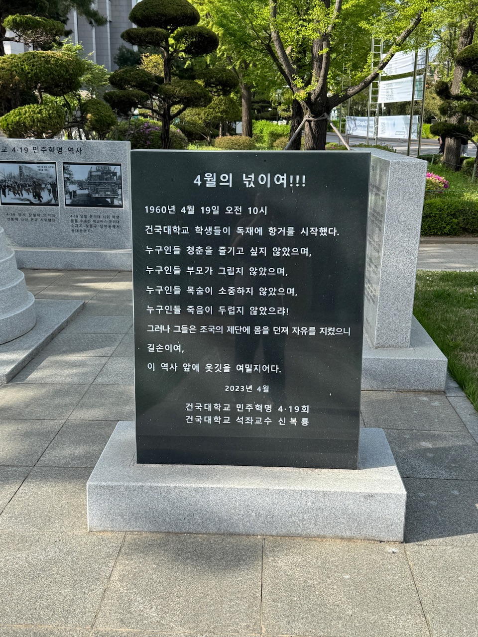 IMG_5882.jpeg