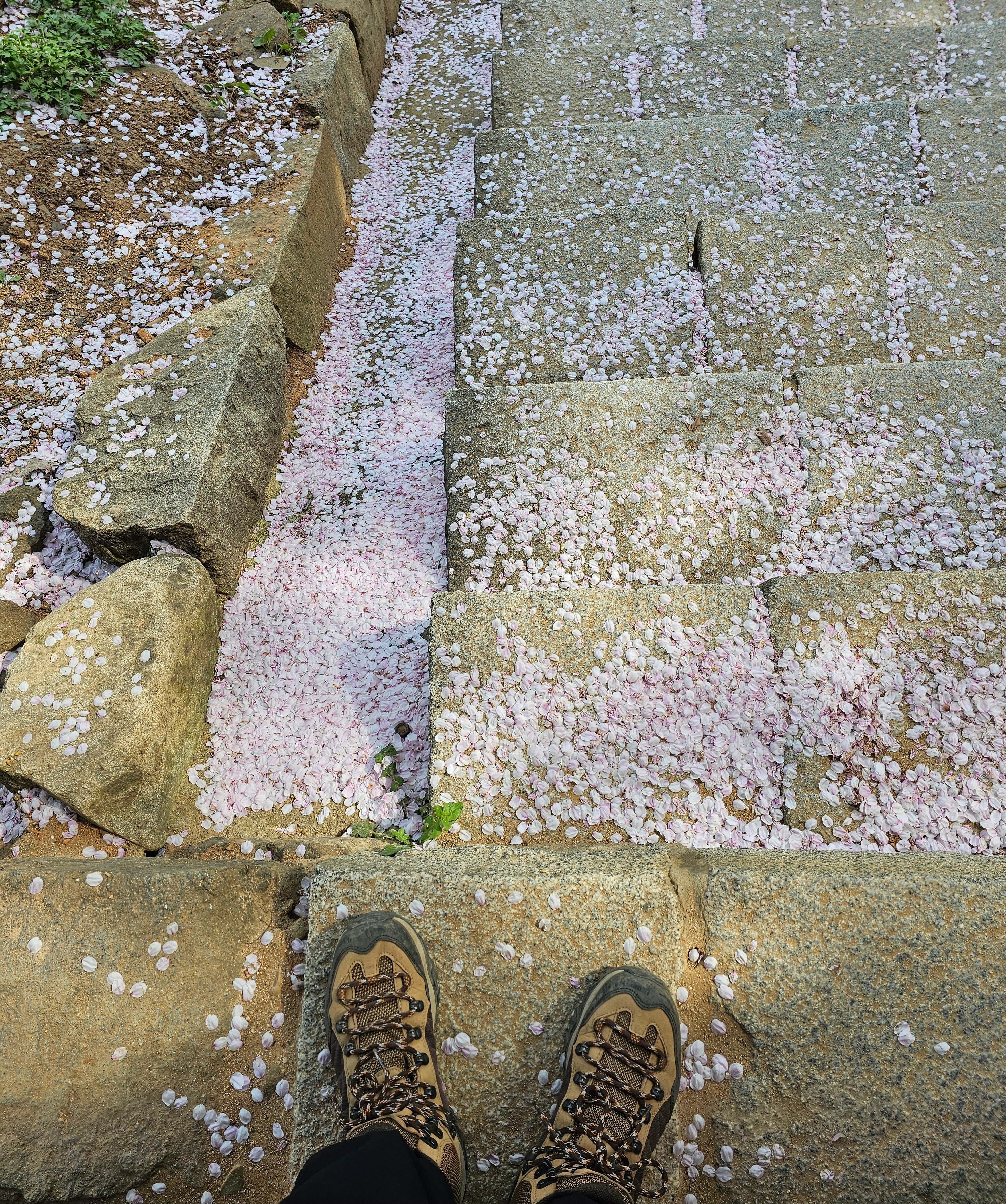 20260416_151320.jpg