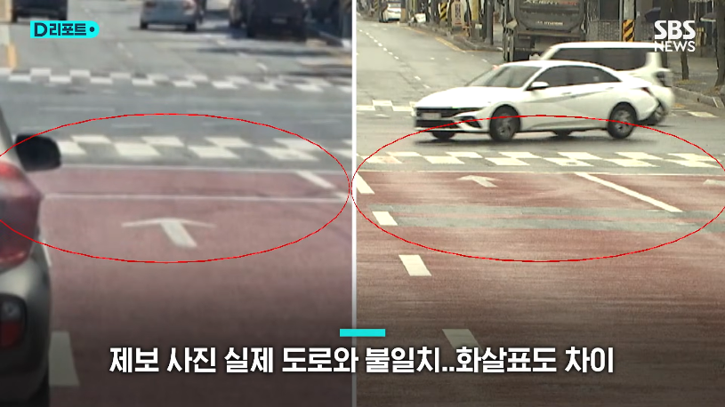 SBS 뉴스 - 초등학교 앞 늑대 사진..알고 보니 '가짜' SBS #D리포트 [-ZgS2S64h0U - 815x458 - 0m47s].png