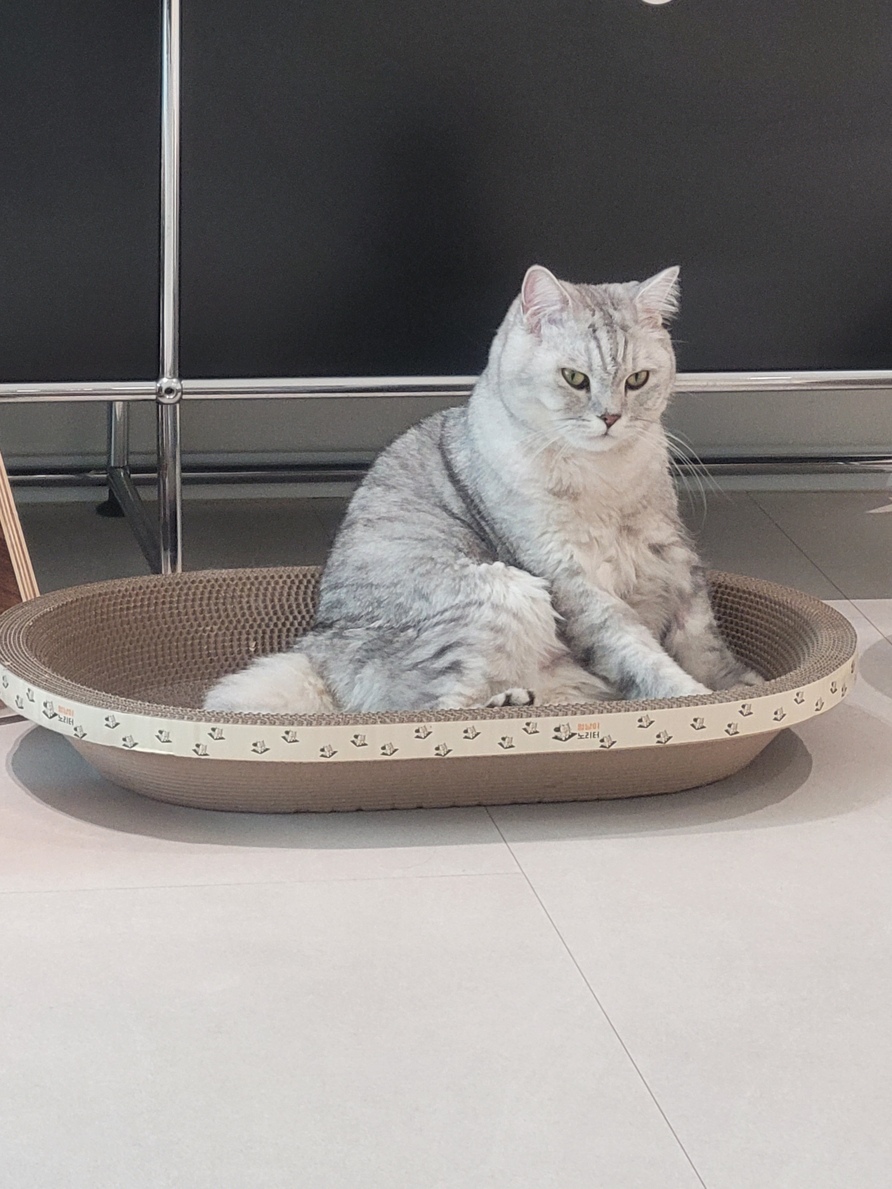 KakaoTalk_20260420_122439651_01.jpg