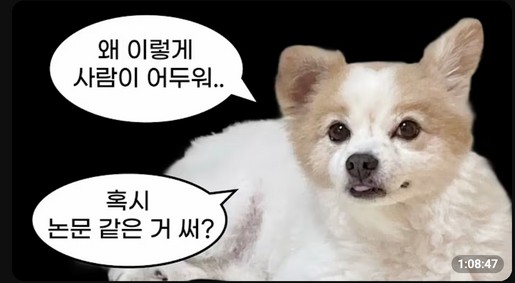 첨부 이미지
