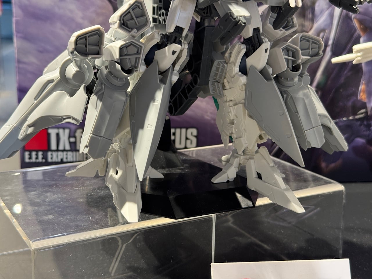 IMG_6135.jpeg