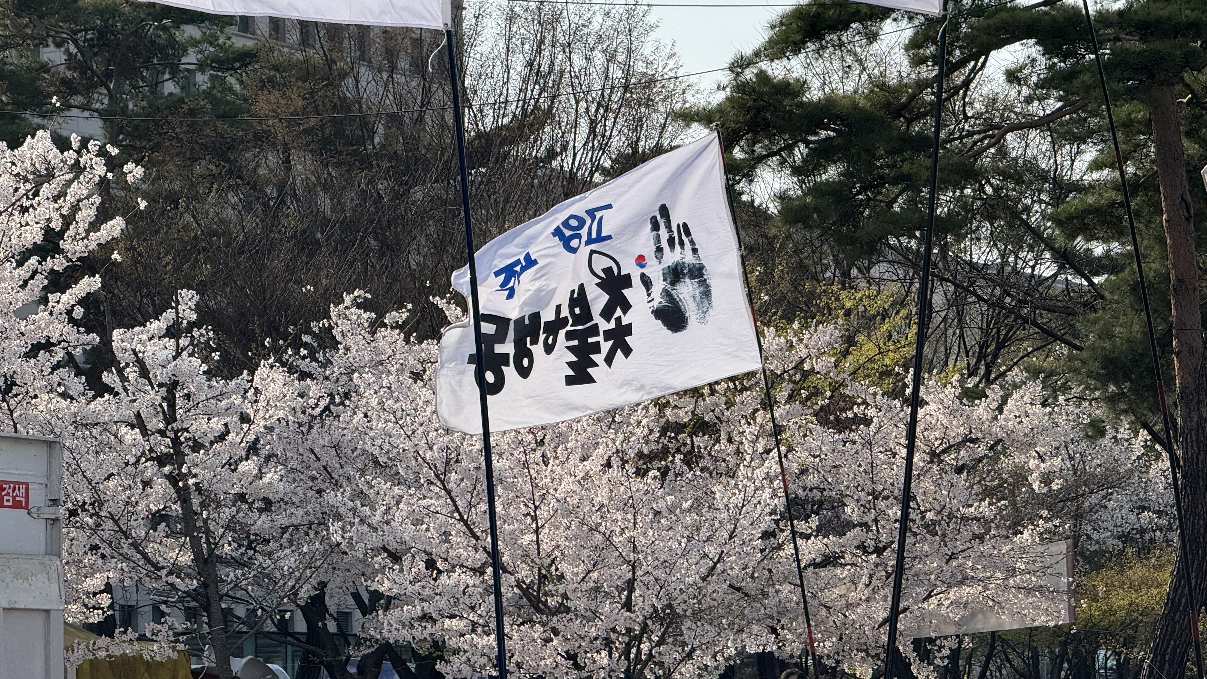 IMG_1975.jpeg