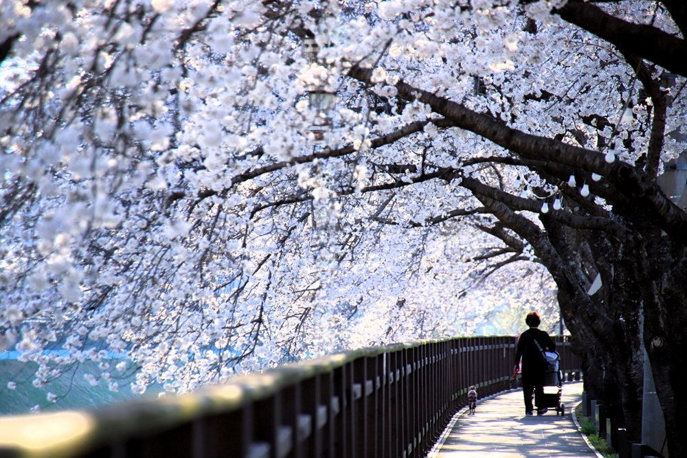 산책-1000.jpg