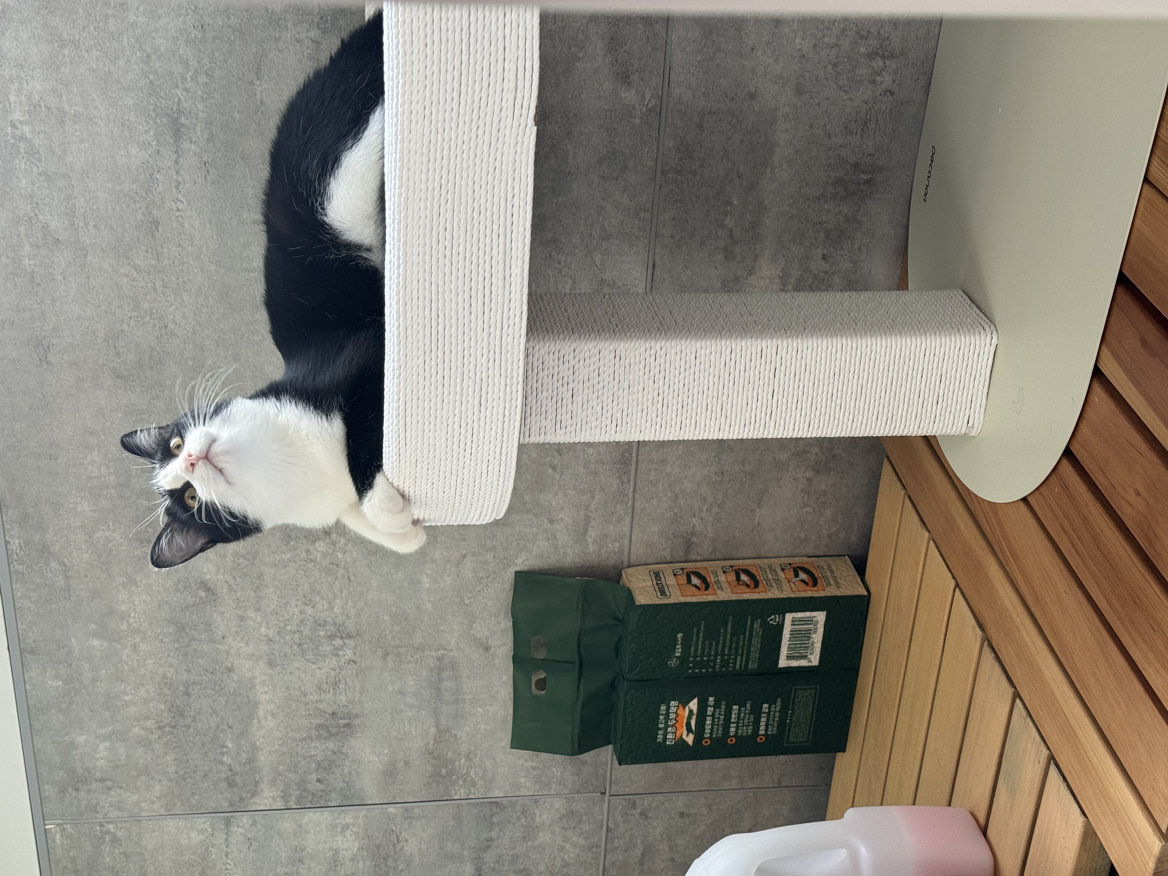 KakaoTalk_20260423_153104874_02.jpg