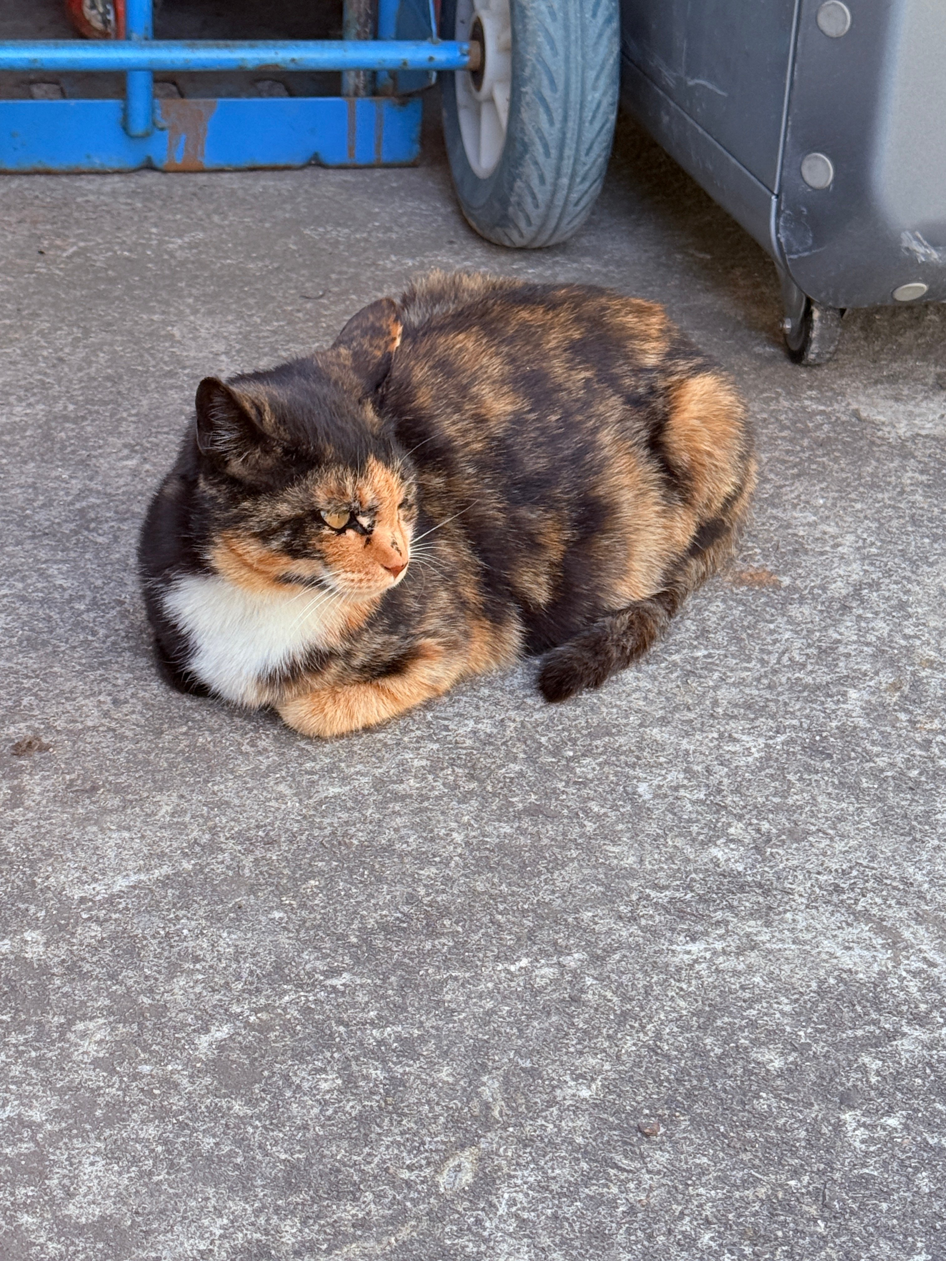 IMG_0225.jpeg