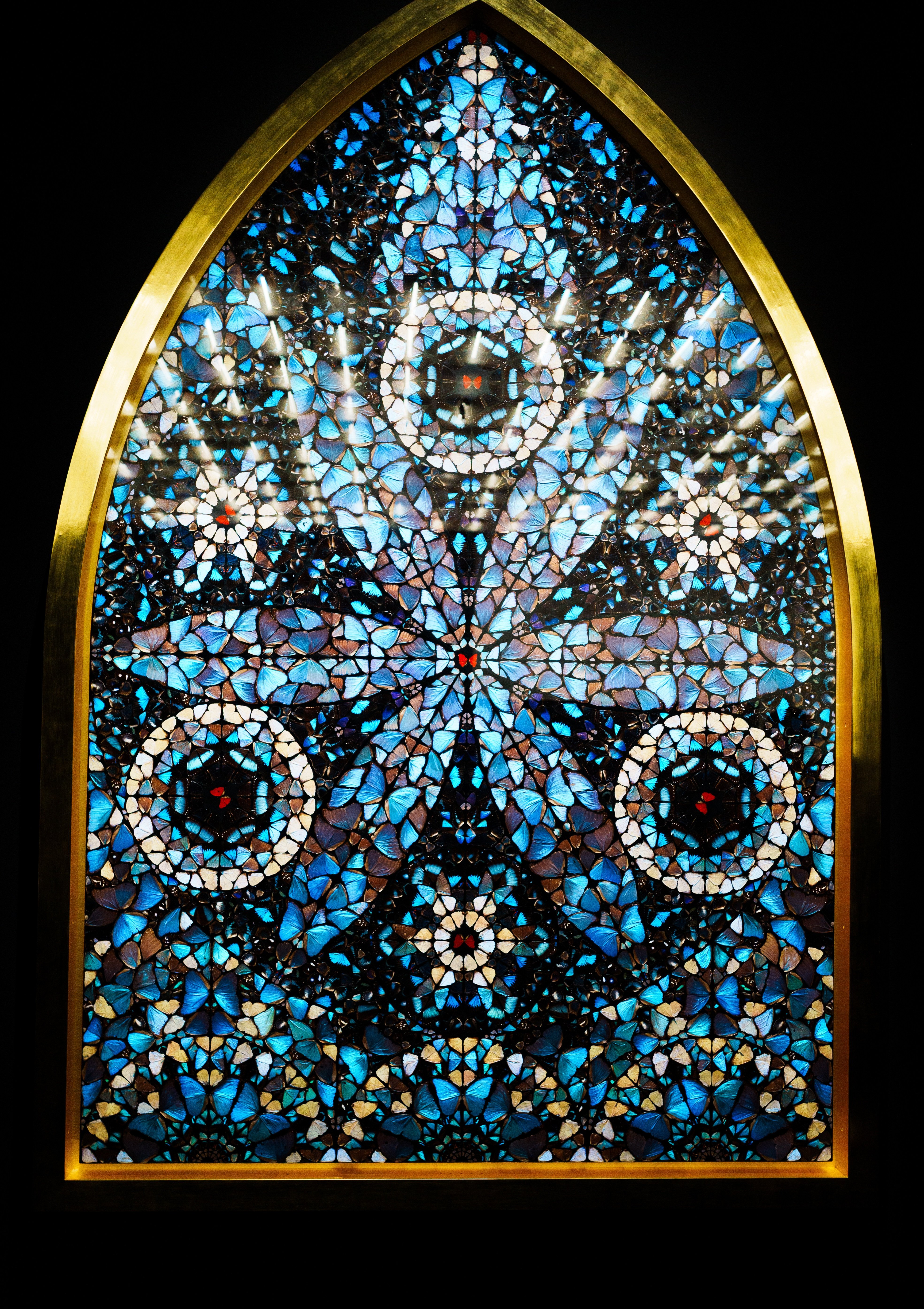 DSC02937(1).jpg