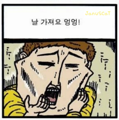 첨부 이미지