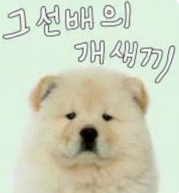 첨부 이미지