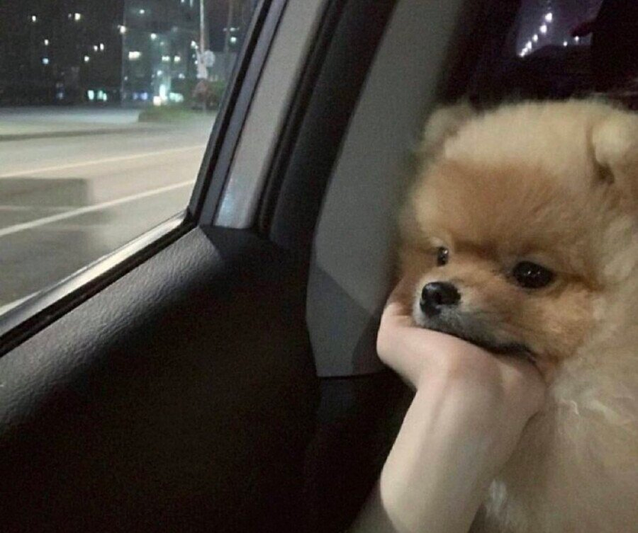 첨부 이미지