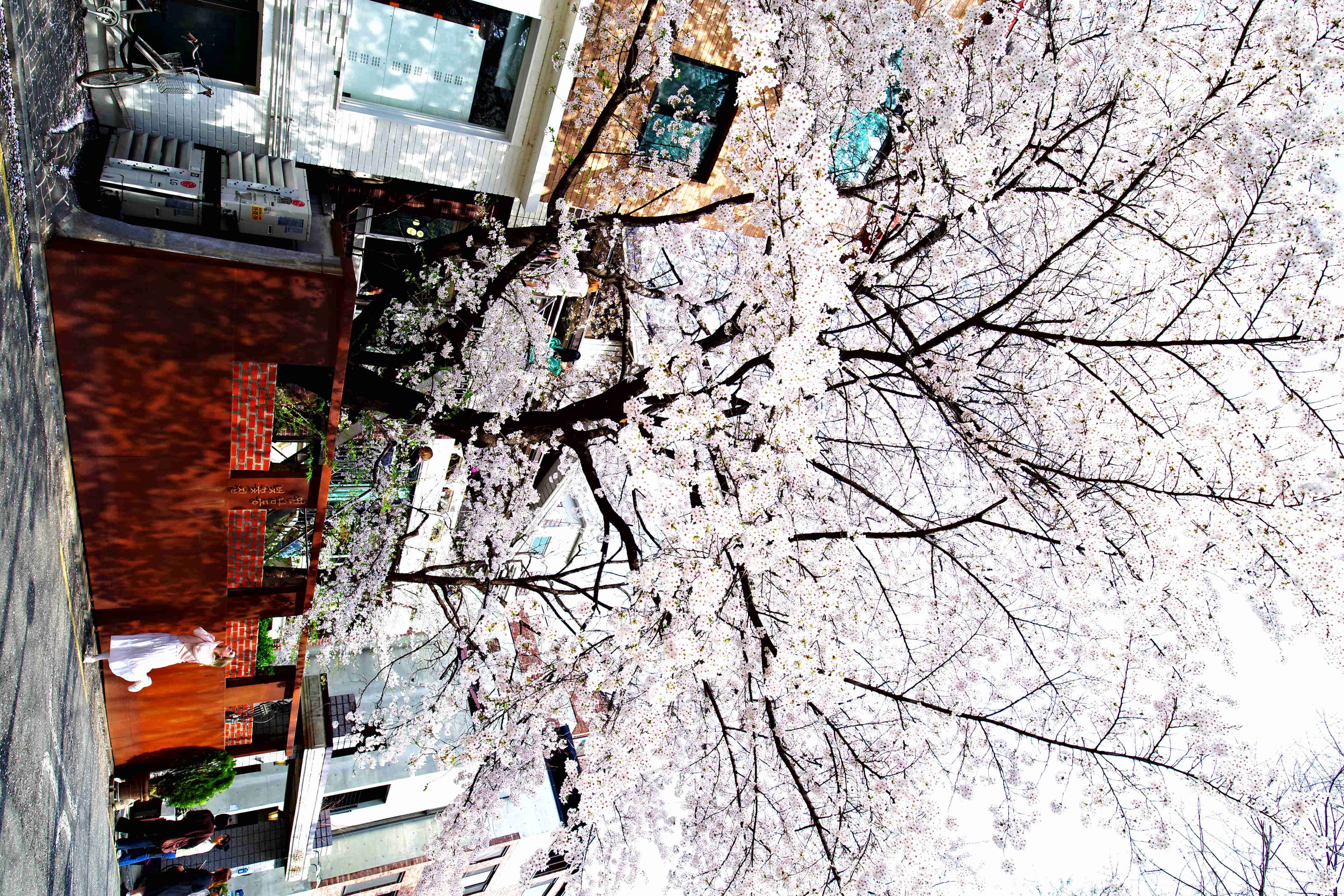 K1__9820.JPG