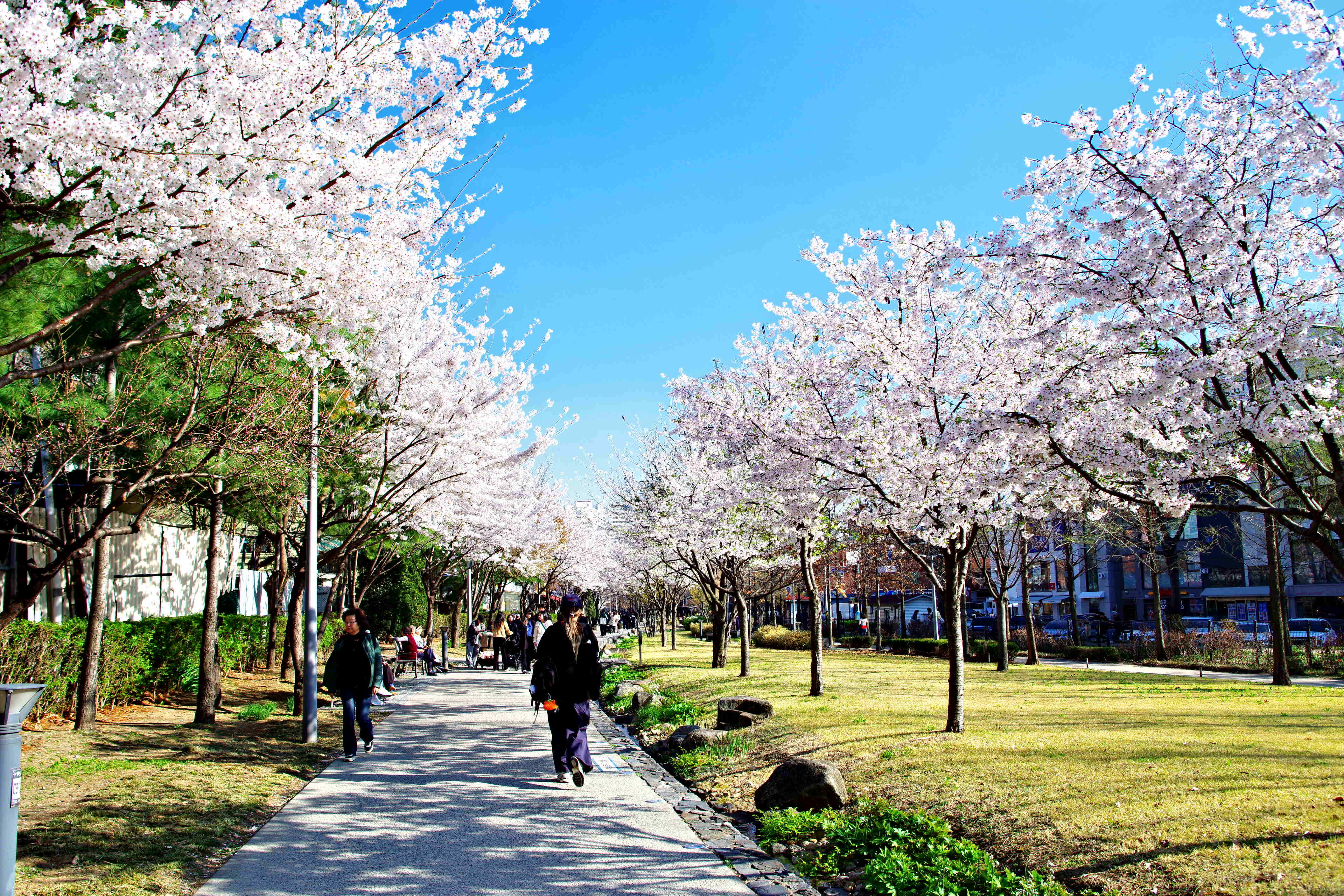 K1__9548.JPG