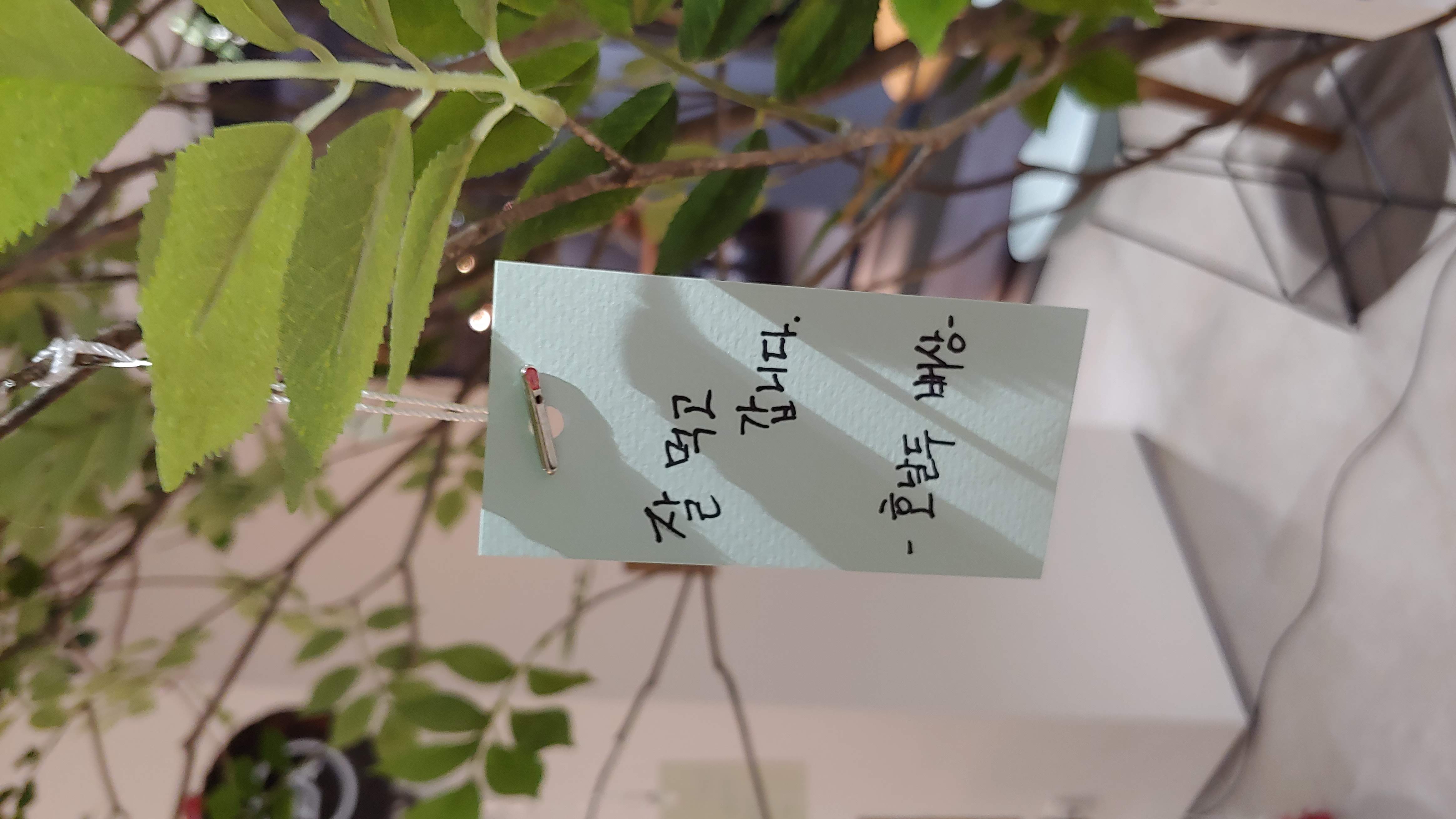 첨부 이미지