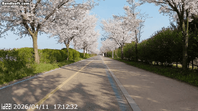 Honeycam 2026-04-15 21-01-45.gif