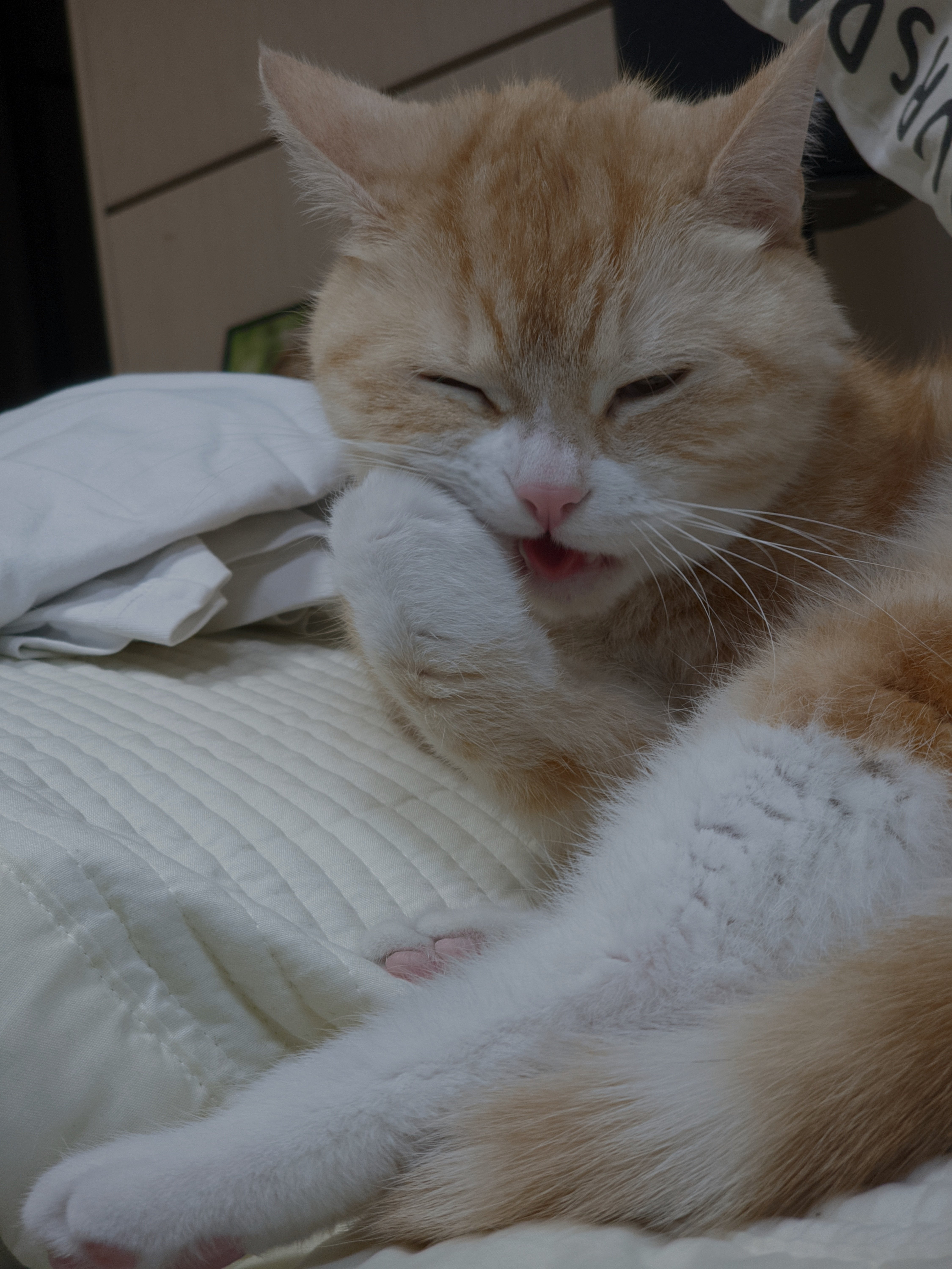 첨부 이미지