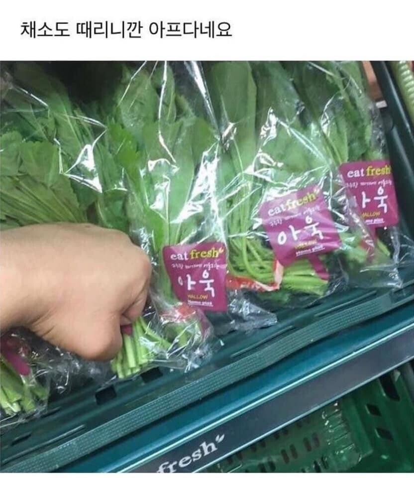 17a3ad42624522198.jpeg