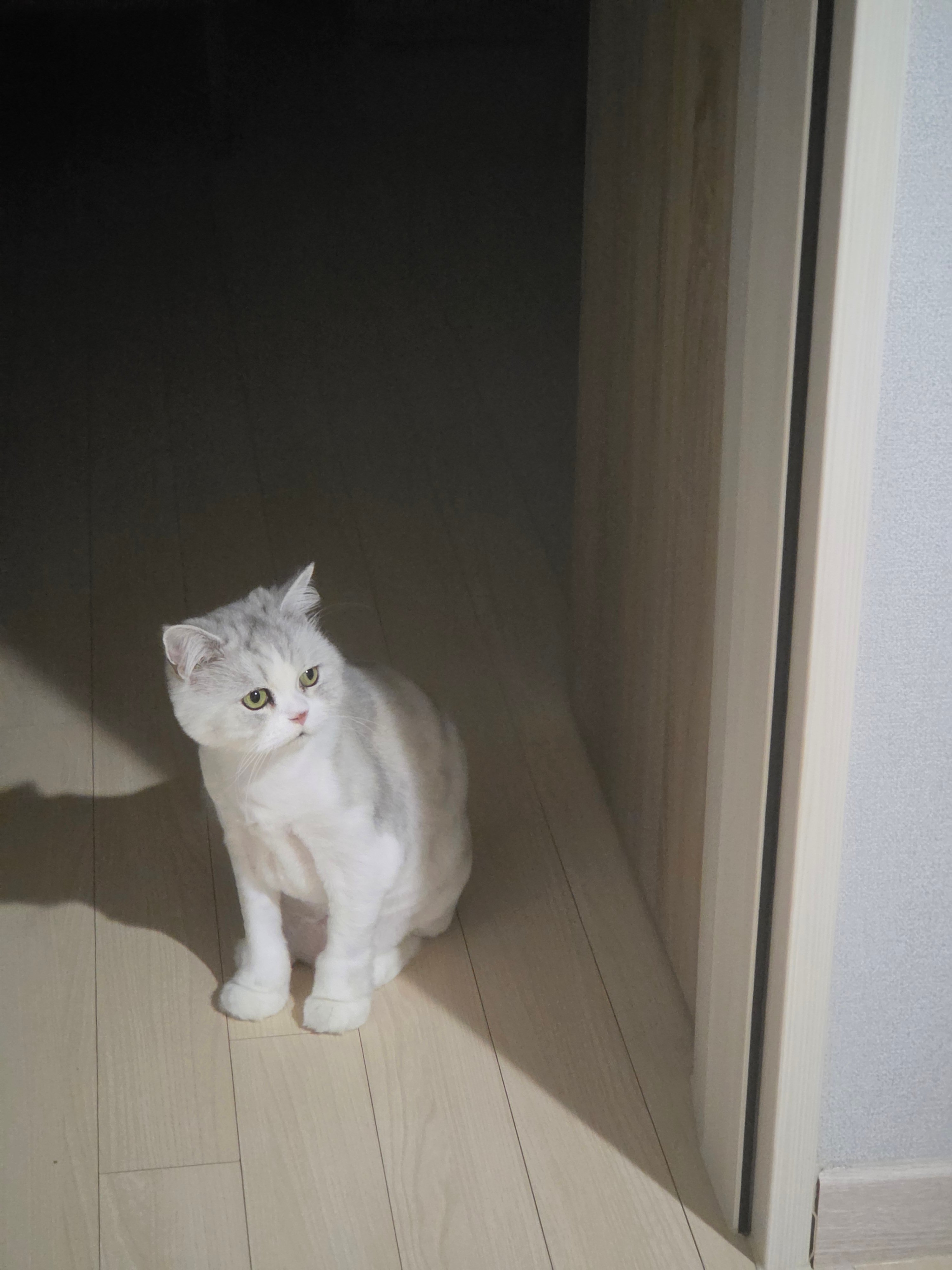 첨부 이미지