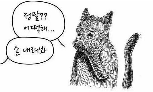 첨부 이미지