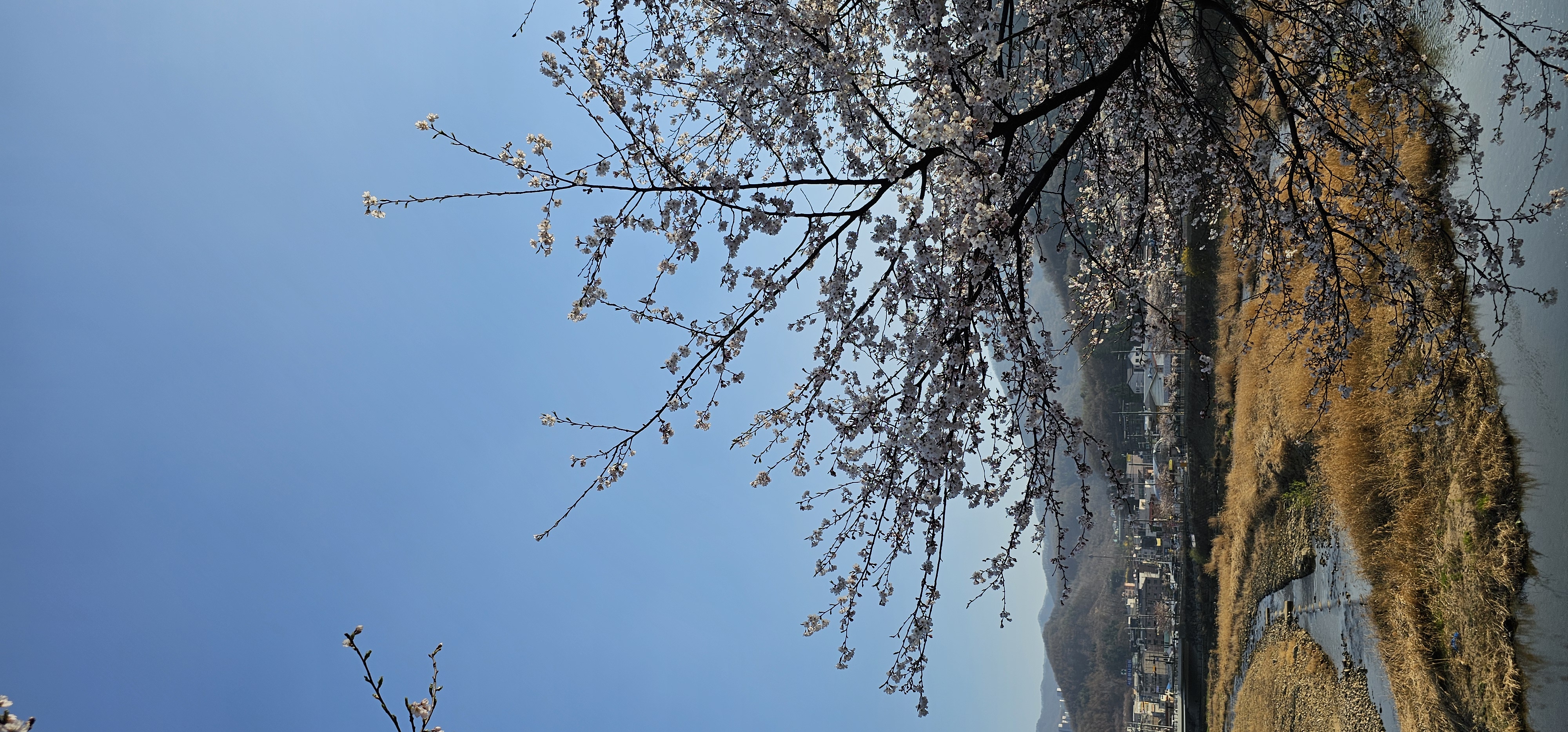 20260402_164443.jpg