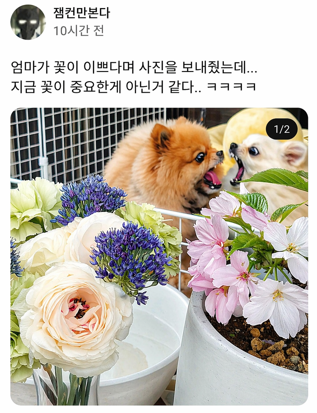 첨부 이미지