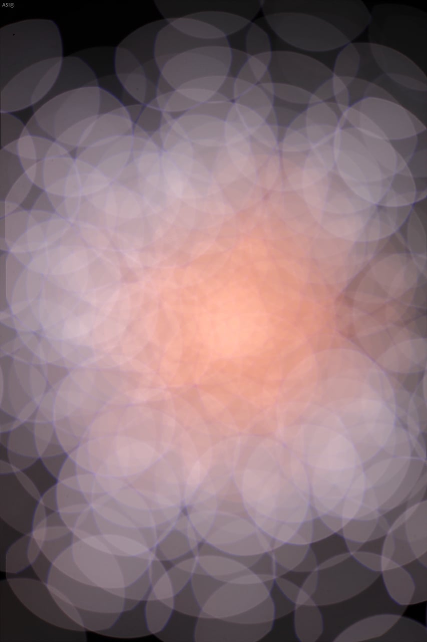 107L6685.jpg