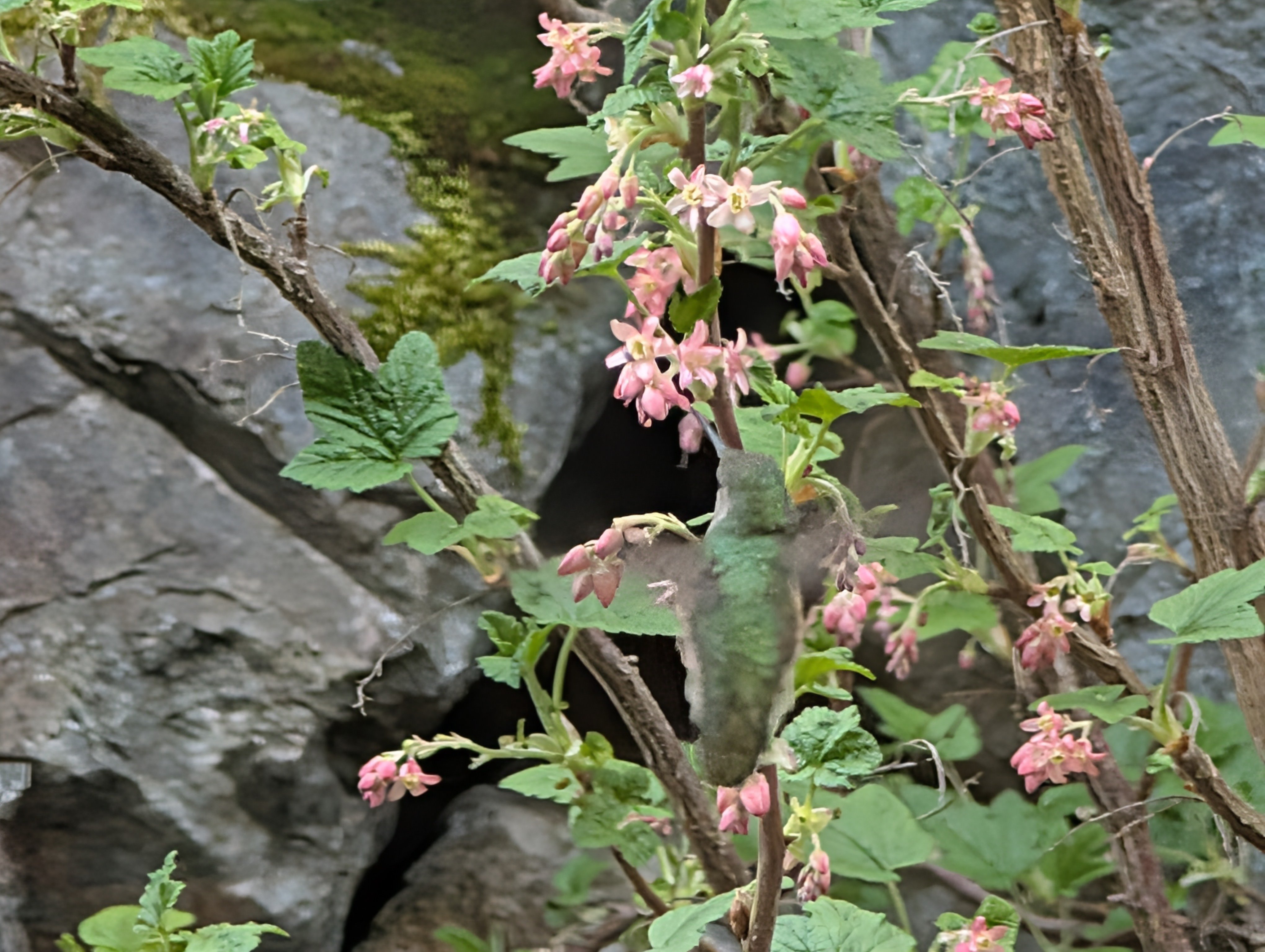 PXL_20260418_144534315.jpg