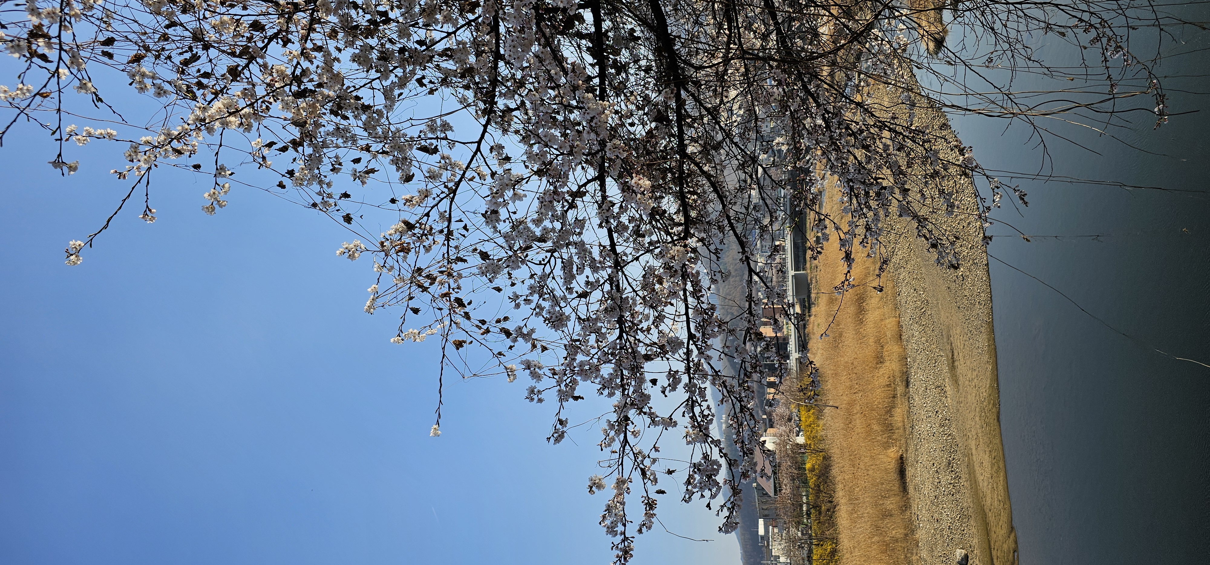 20260402_164423.jpg