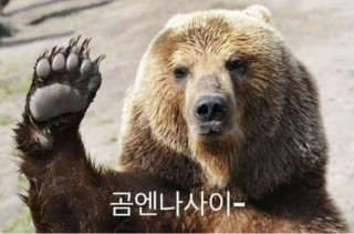 첨부 이미지