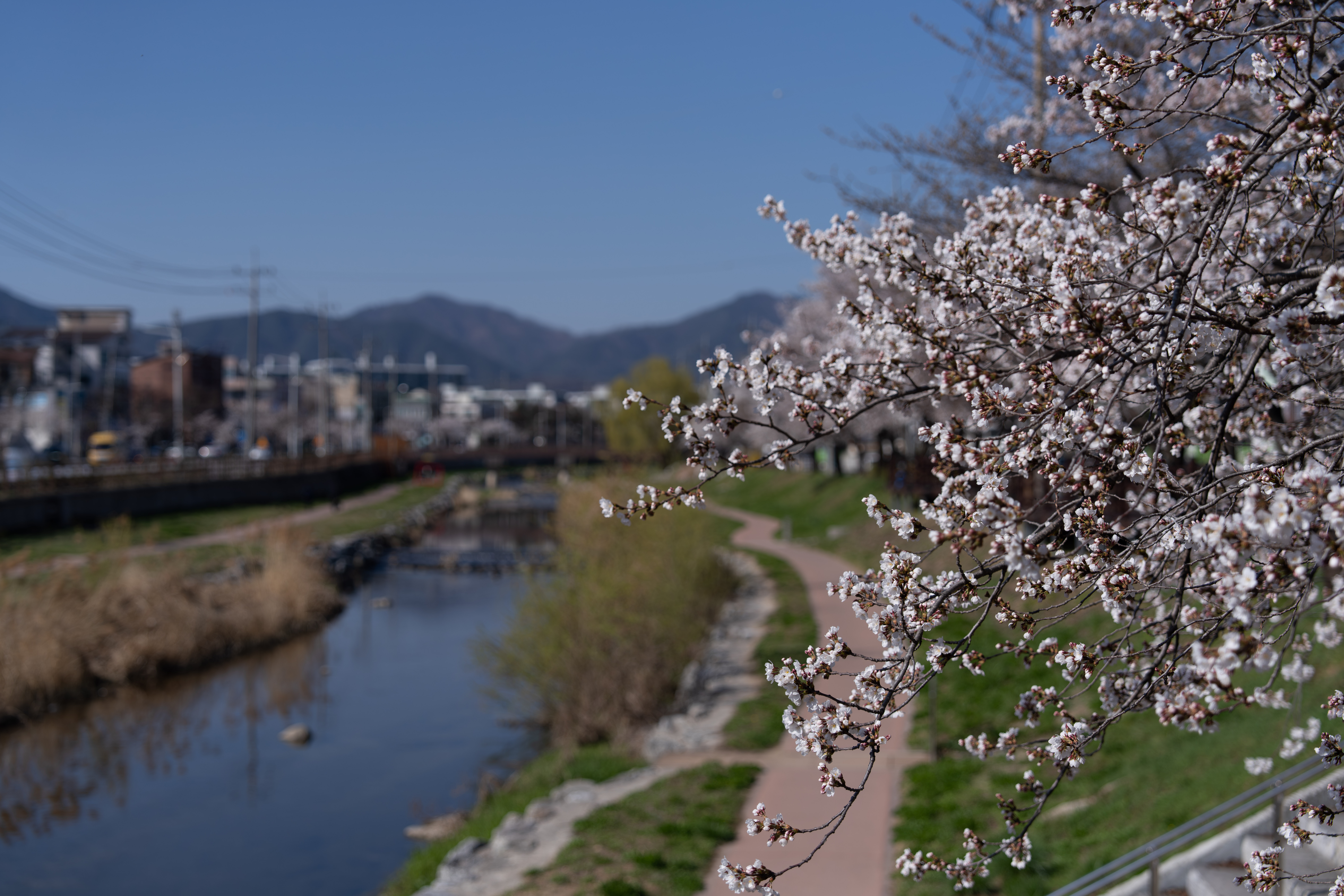 _DSC8396.jpg