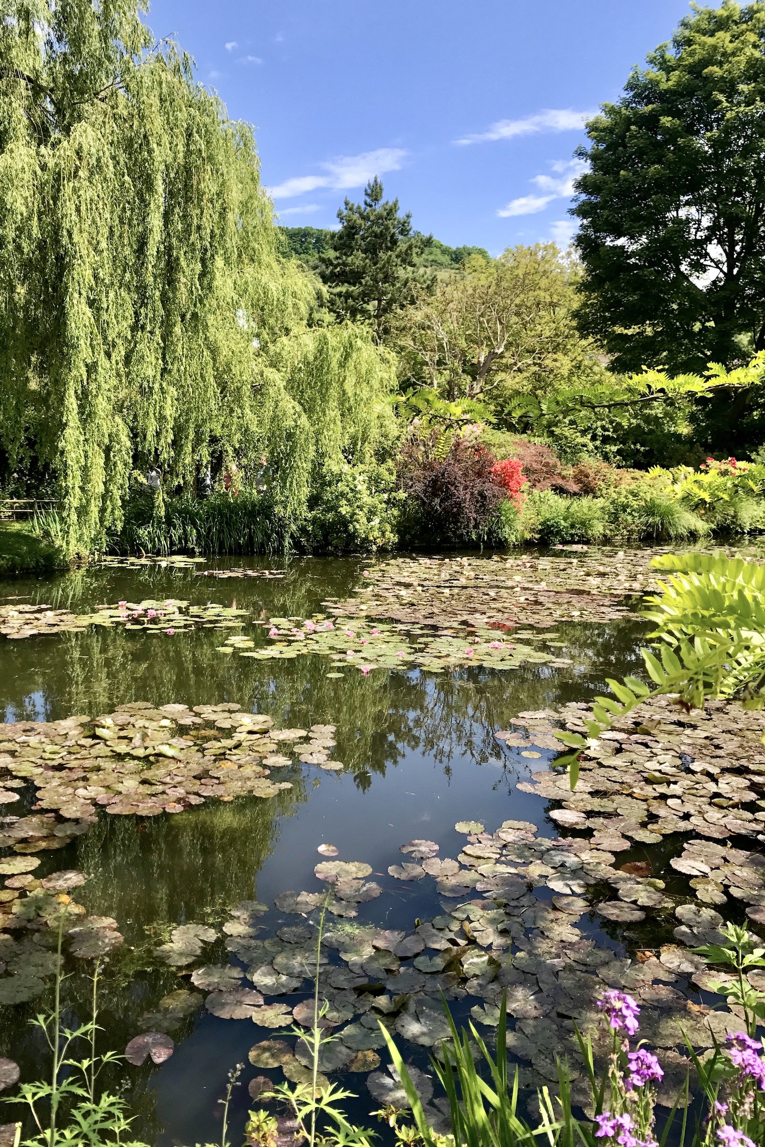 day-trip-from-paris-to-giverny-pond-willow.jpeg