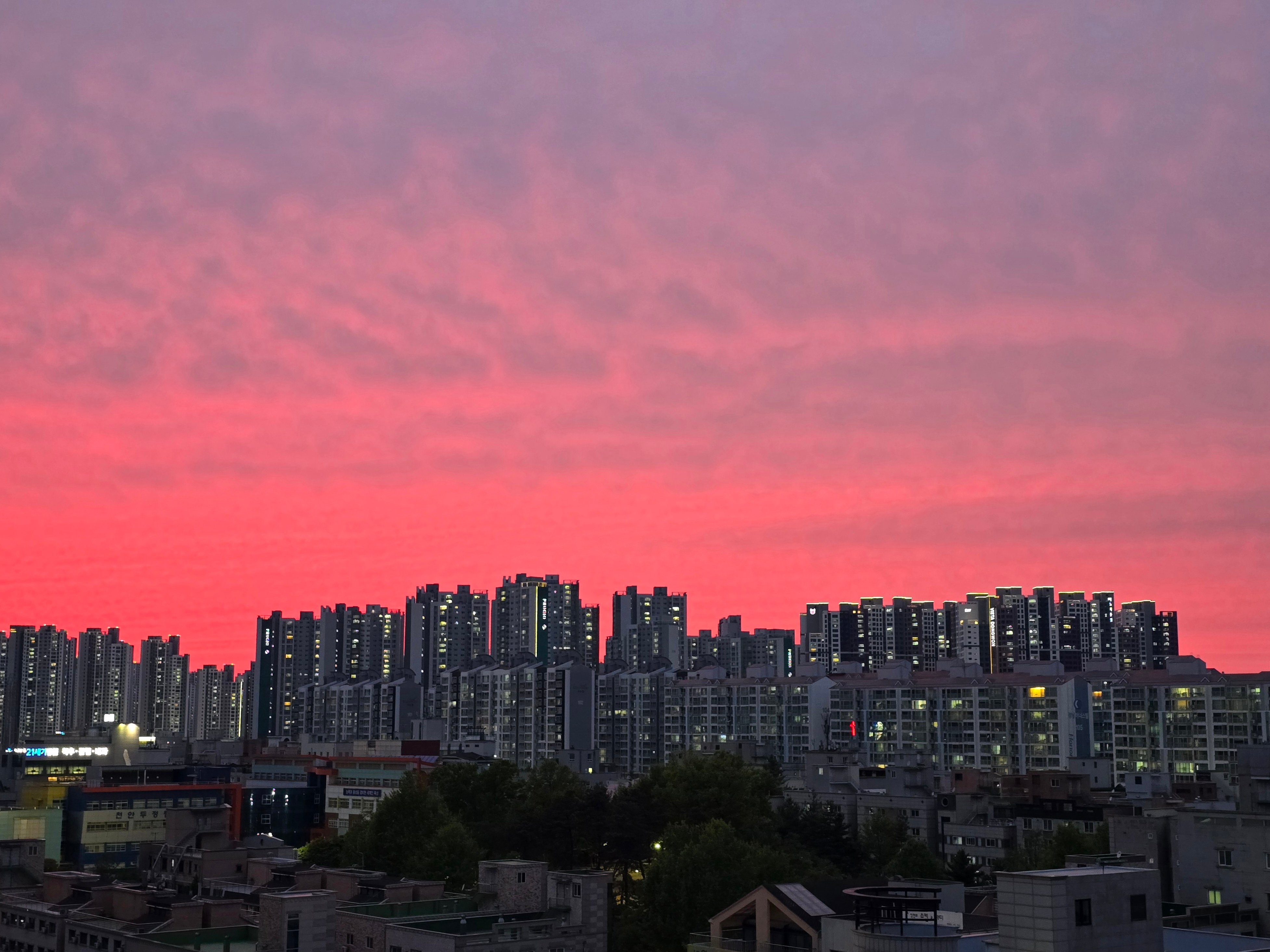 20260429_193037.jpg