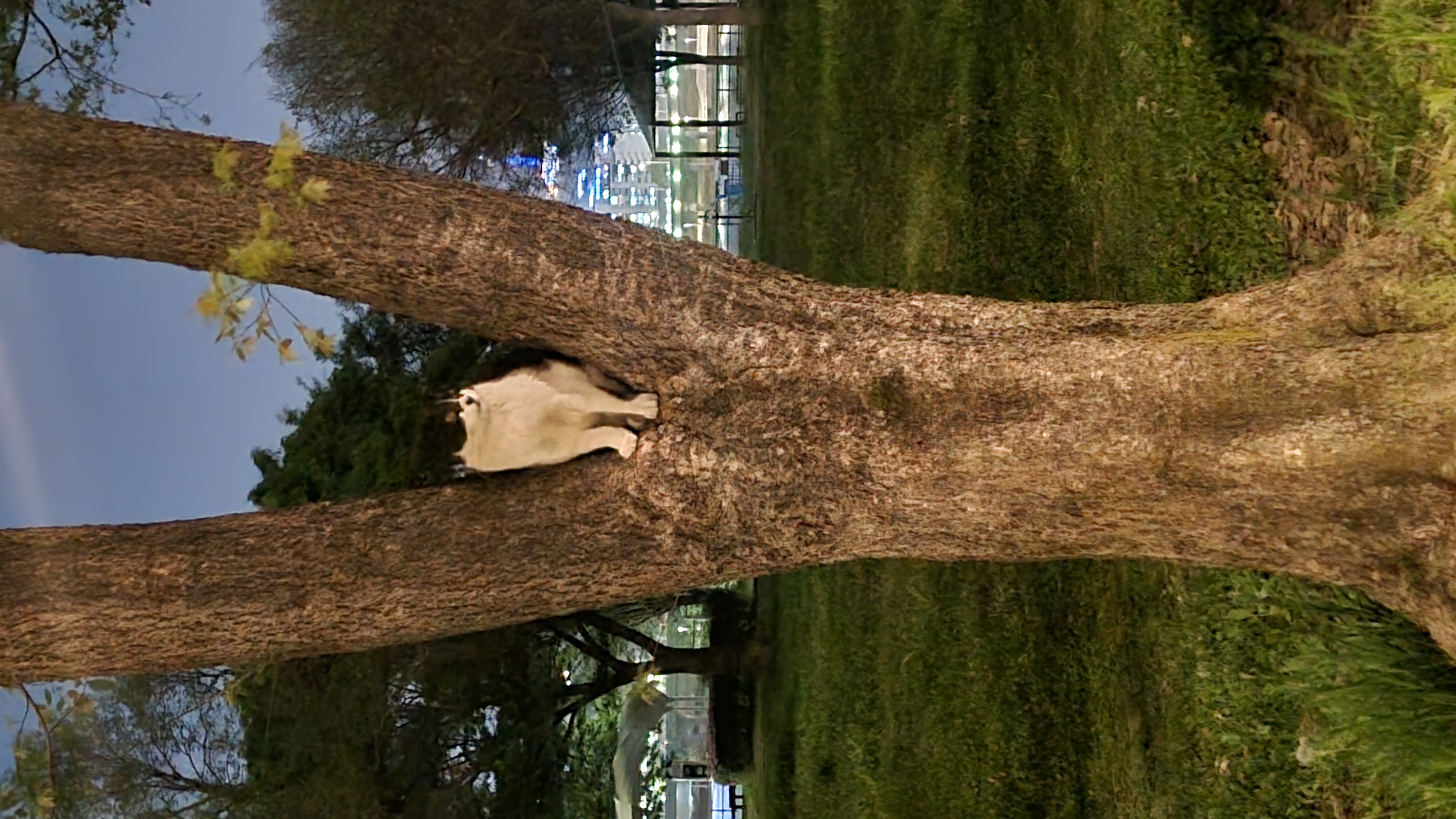 20260420_204220.jpg