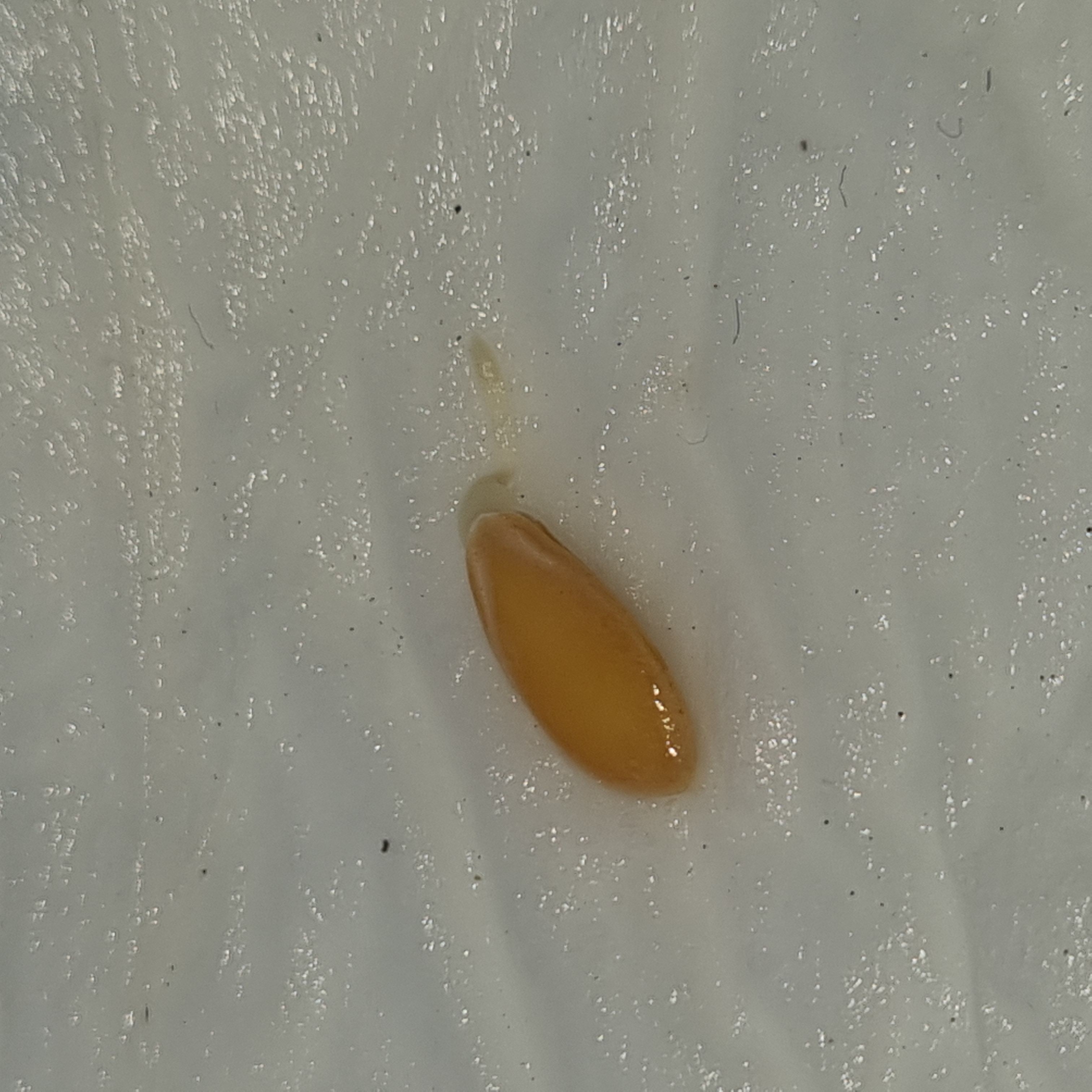 20260419_181631.jpg