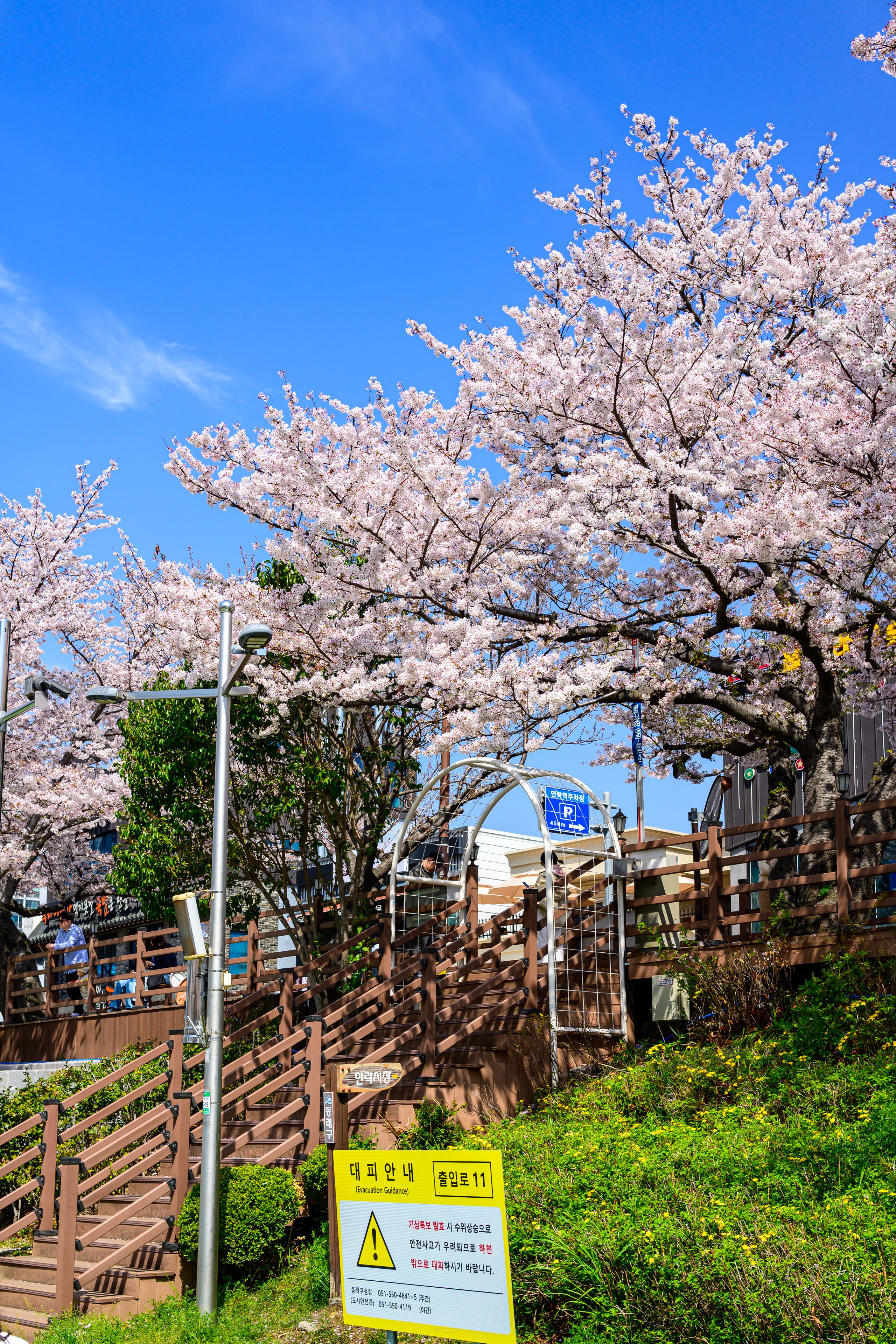 BPC_5636.jpg